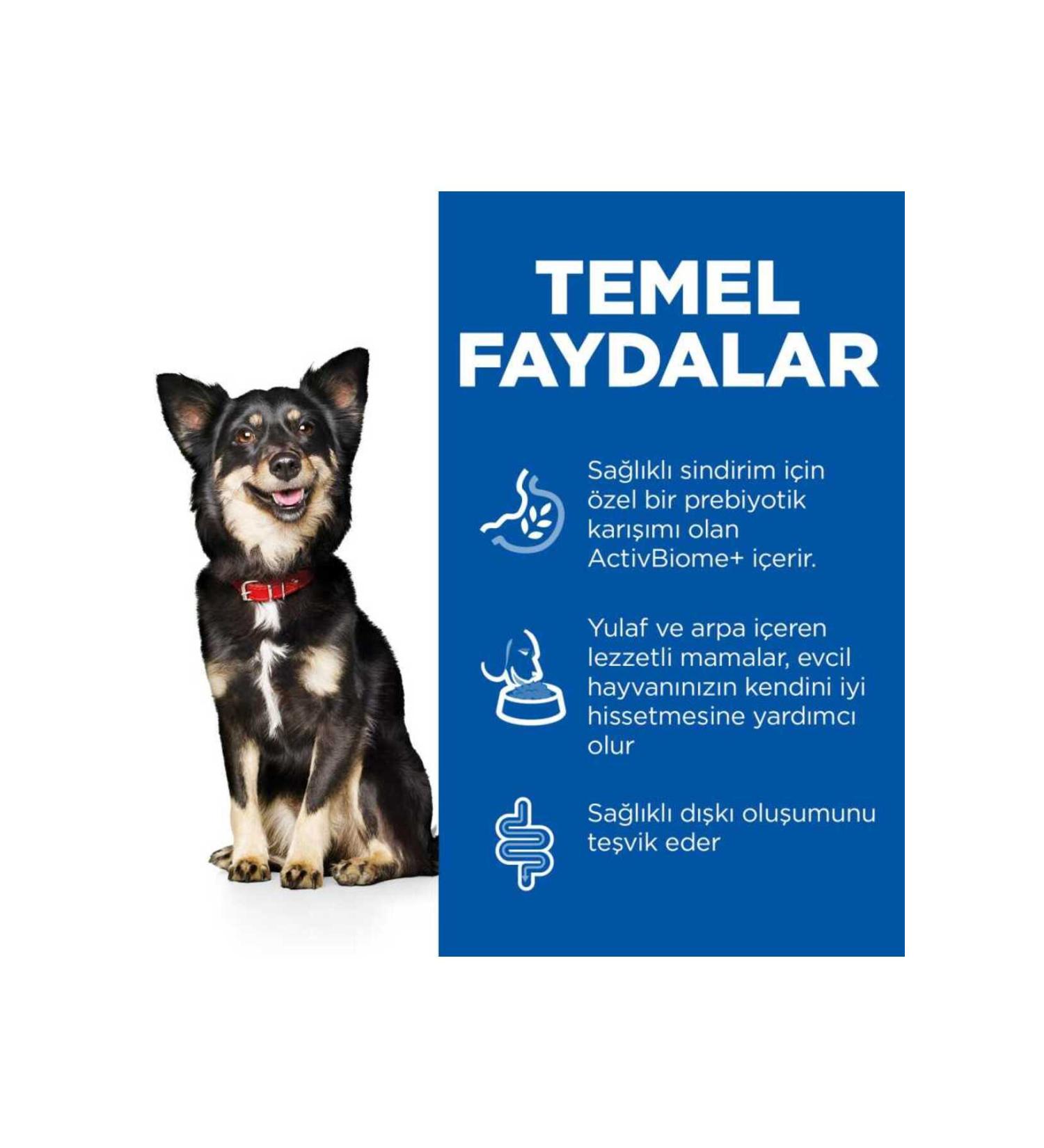 Handmade 0 Handmade 150 Gr Chickpea Date Fit Snack