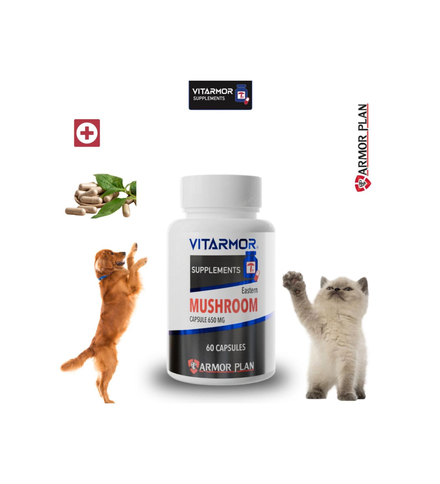 VITARMOR SUPPLEMENTS MUSHROOM CAT & DOG Immune System Support 60 Capsules 650 mg - Buy Online on GoSupps.com