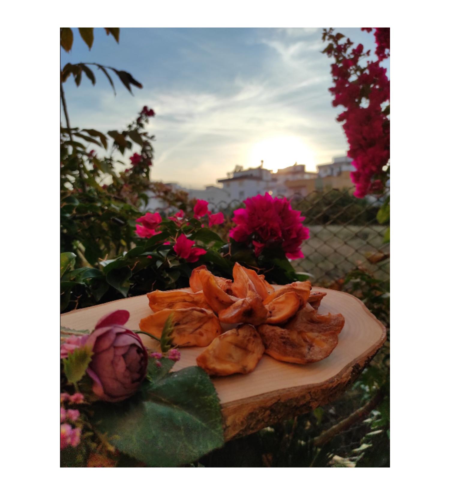 Royalist Deter Cat and Dog Stool Eating Preventive Tablets 75 pcs - Buy Online on GoSupps.com