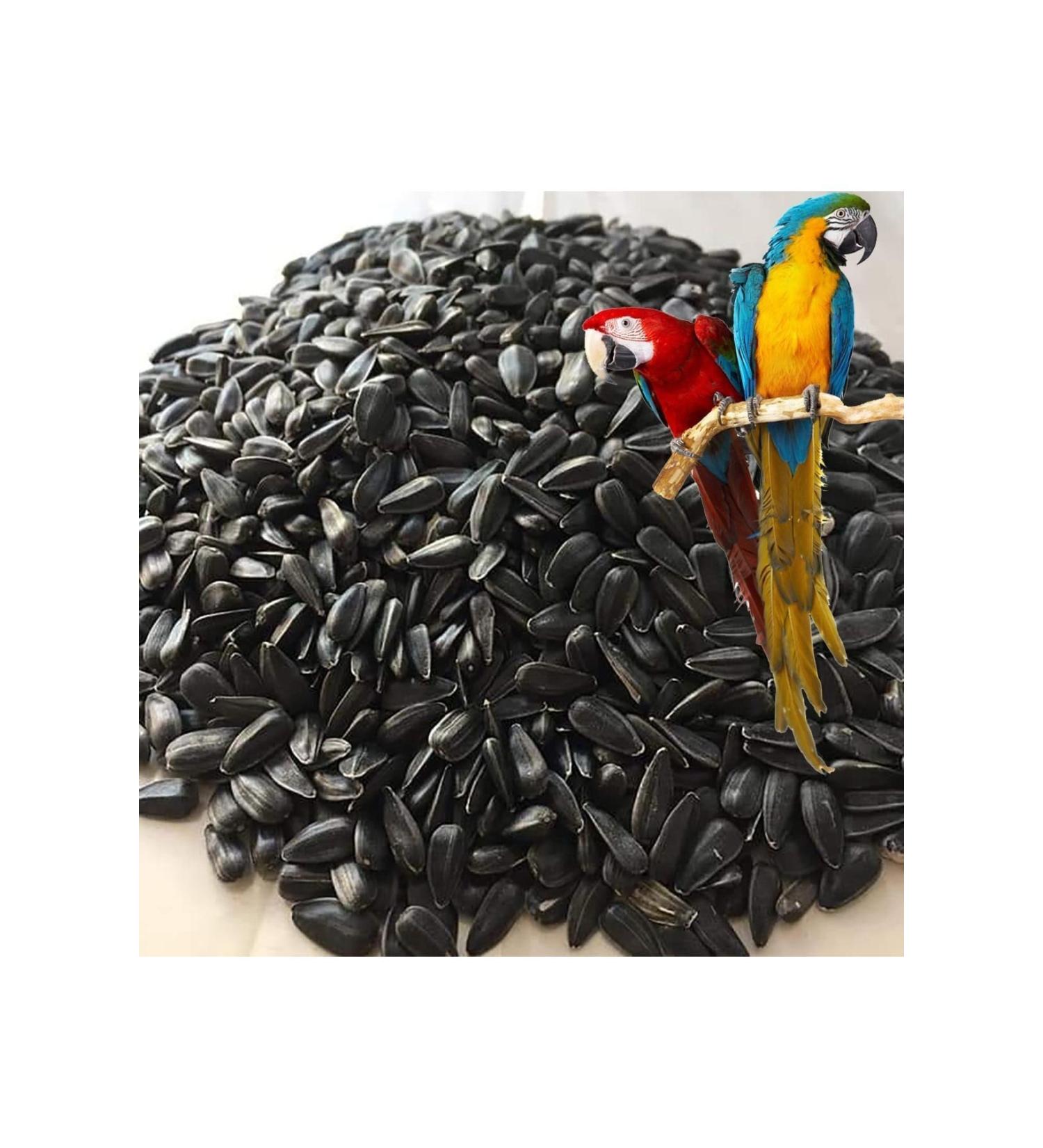 Matol ve MATOL VE green olive tomato crushed