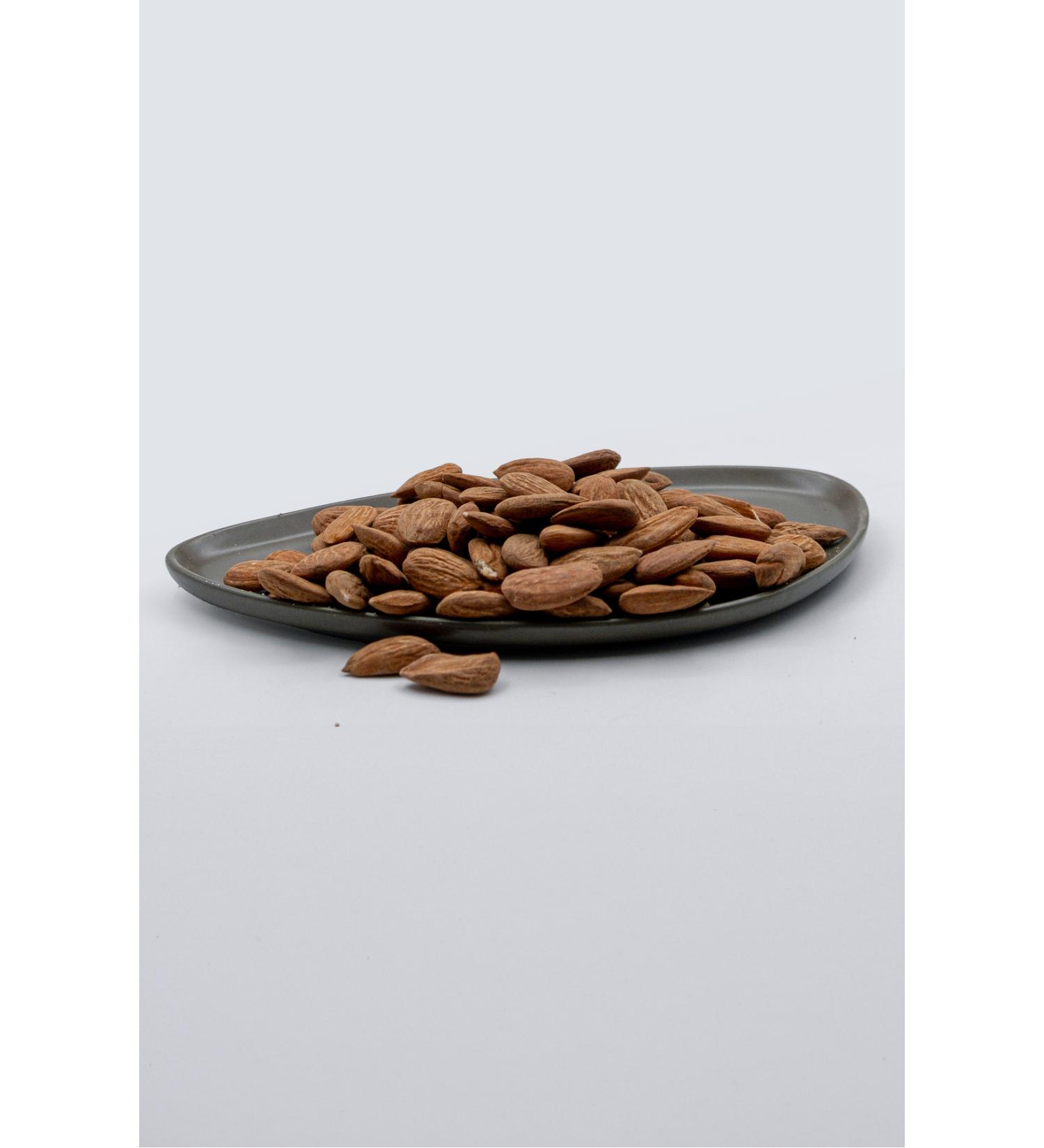 Royalist DOG MULTI VITAMIN PASTE 100 GR