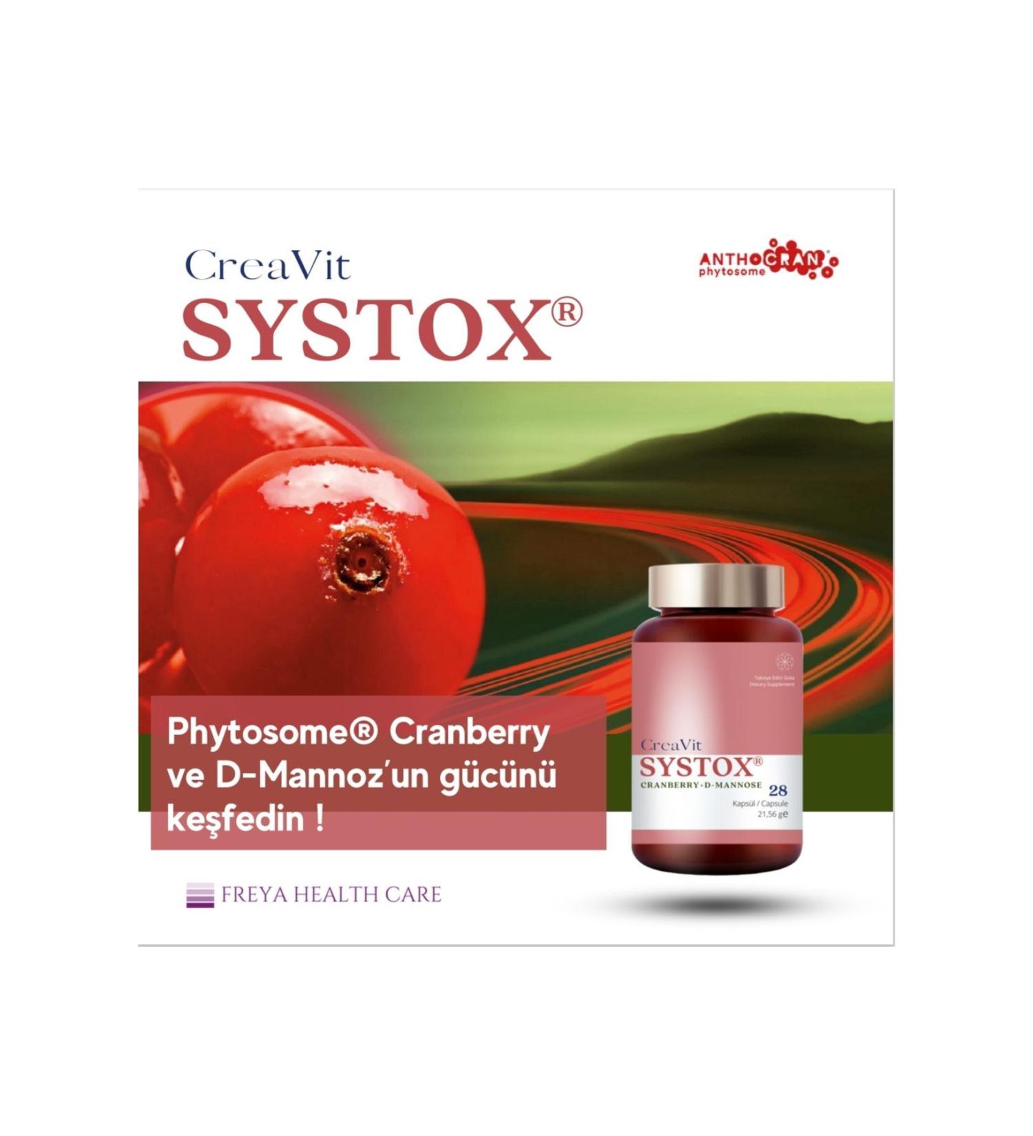 ayeks Green Tea Extract 100gr