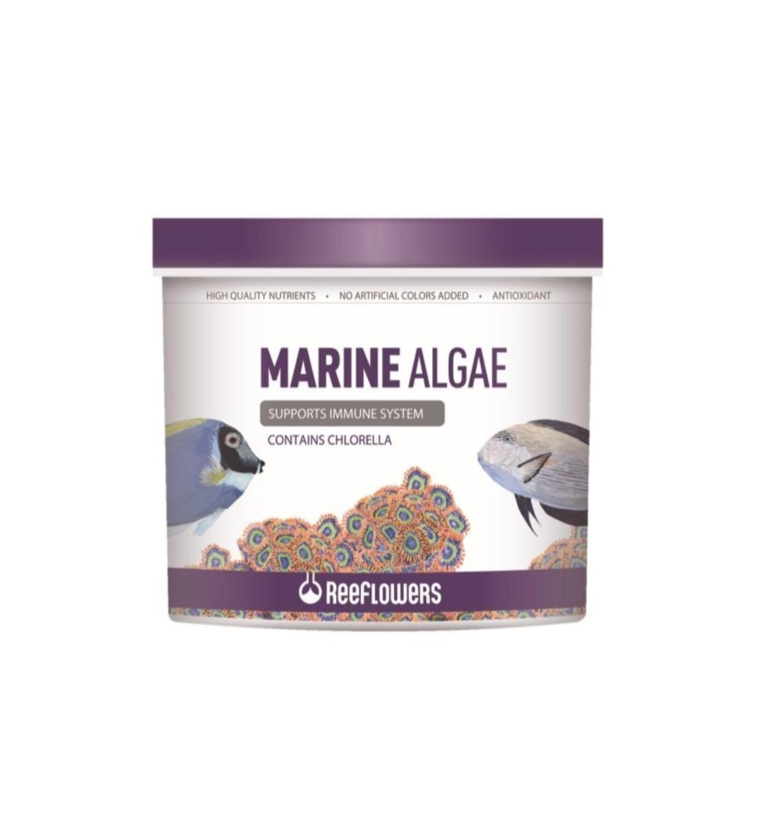ReeFlowers Marine Algae 100 GR