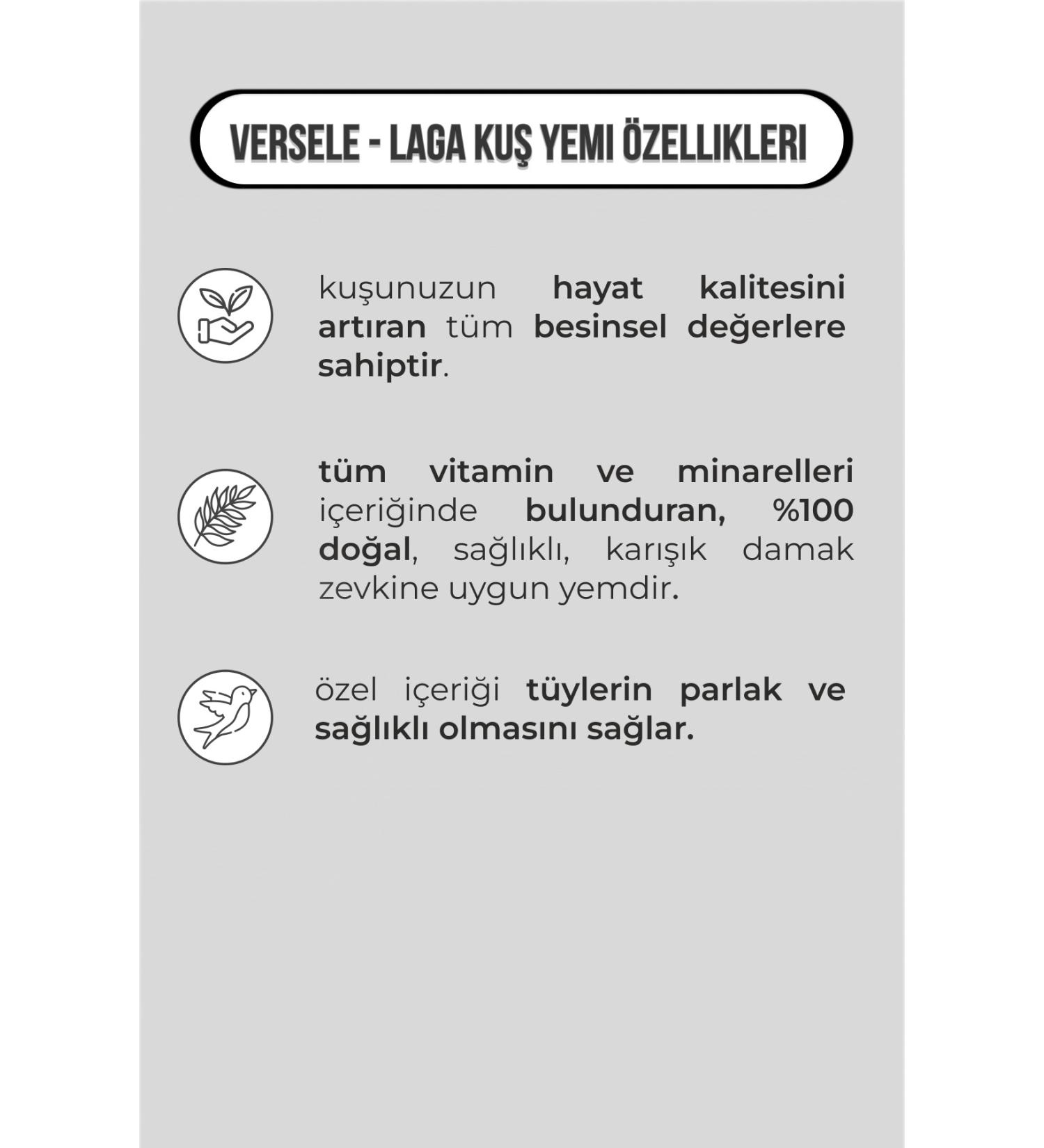 A Roasting Lab Timeless Blend 4x250 Gram Ground Coffee