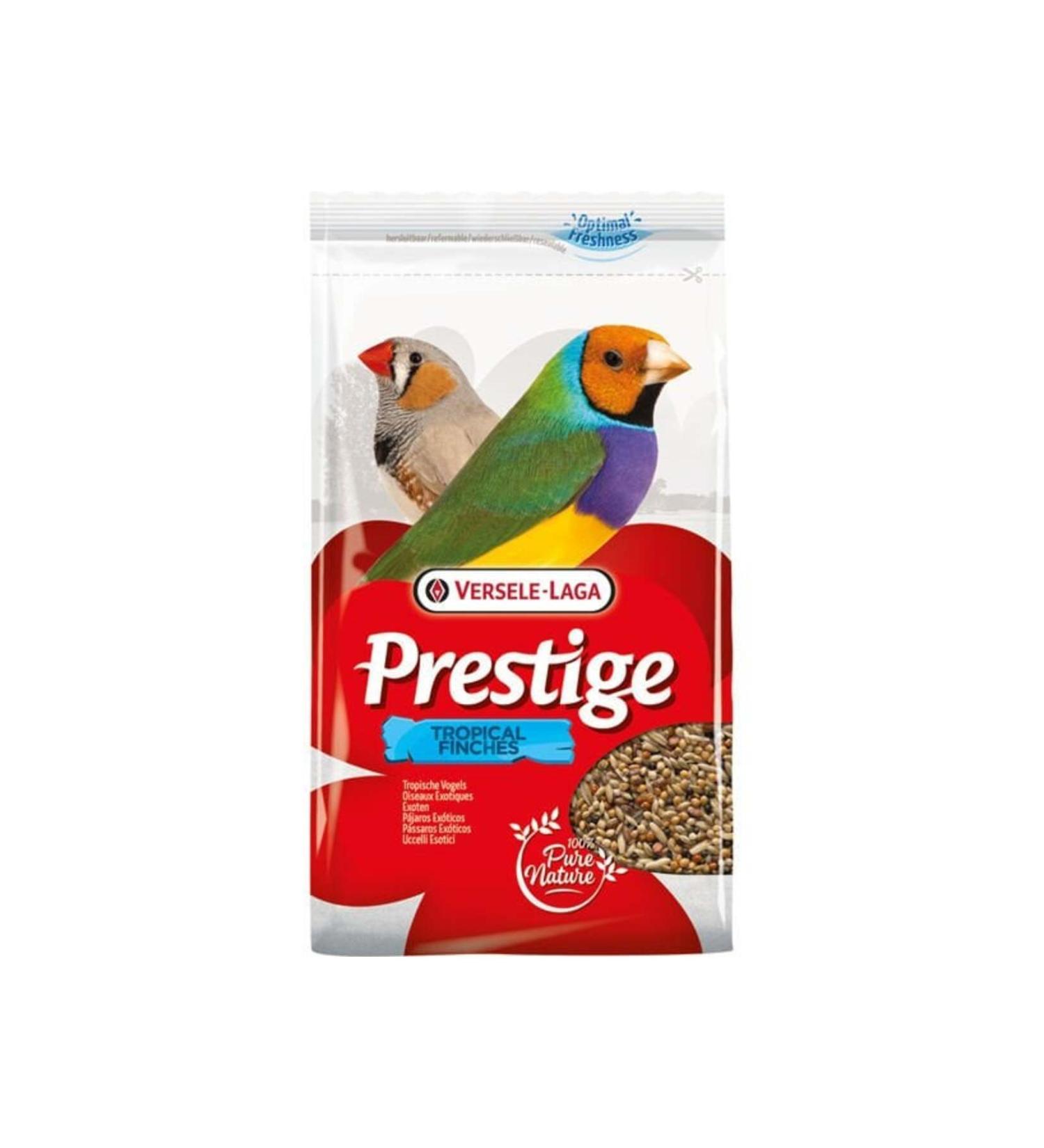 Pro Choice Canned Cat Pate with Lamb 400 gr 12 Pcs