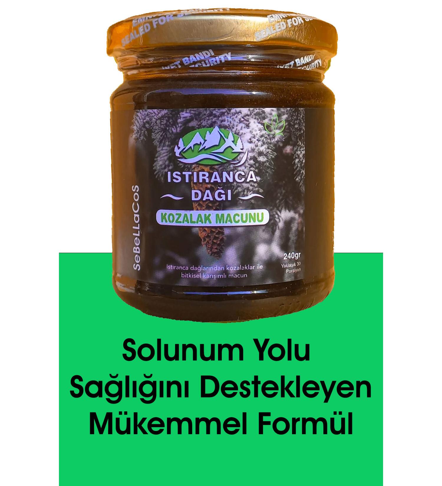 Pets Family KOI & GOLD FISH NATURAL STICKS 1L/100G