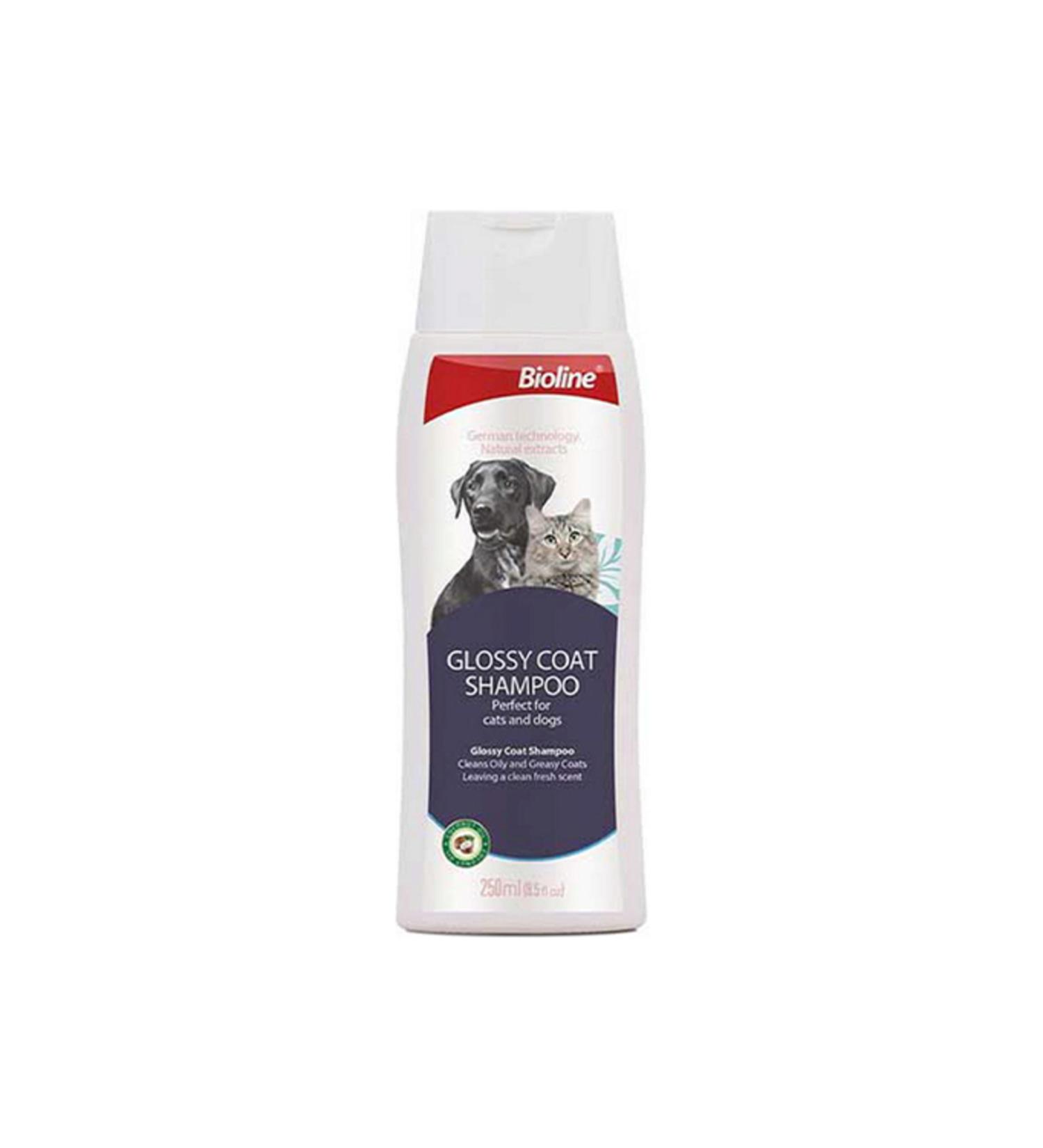 Bioline Oily Hairy Cat and Dog Shampoo 250 ml