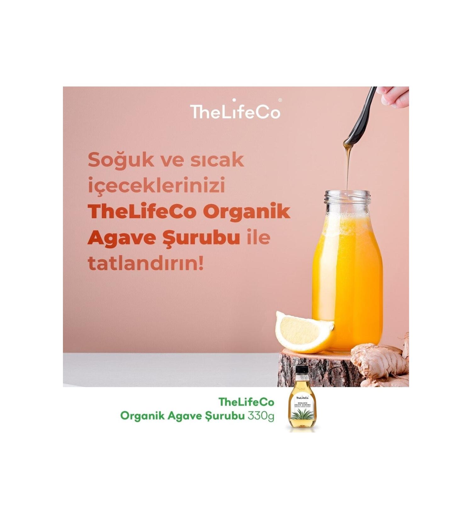 Petiva Fish Meat Dry Dog Food for Adult Dogs (3 KG FISH) - Buy Online on GoSupps.com