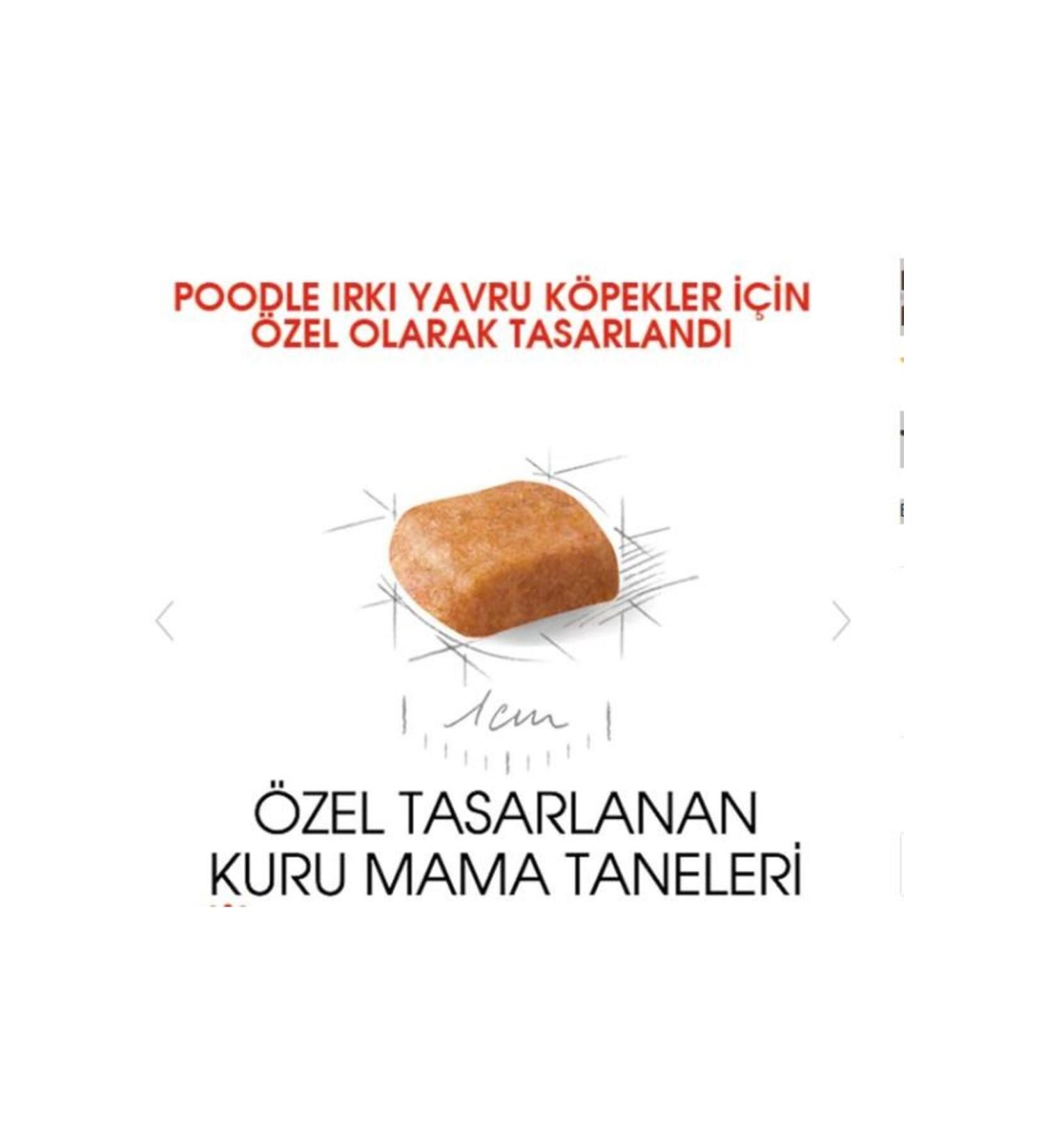 Pro Plan Sterilized Salmon Cat Food for Neutered Cats 3 Kg - Buy Online on GoSupps.com