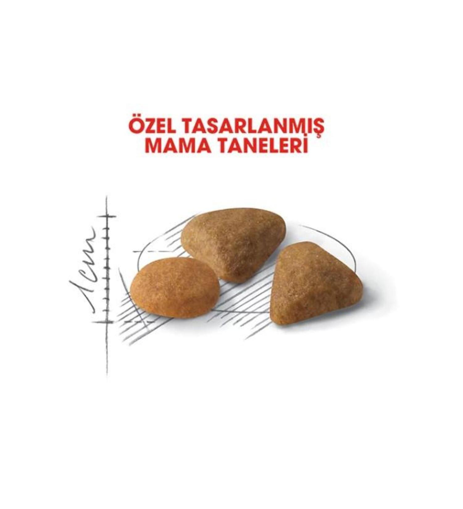 FO Cappuccino Flavored Syrup 700 ml