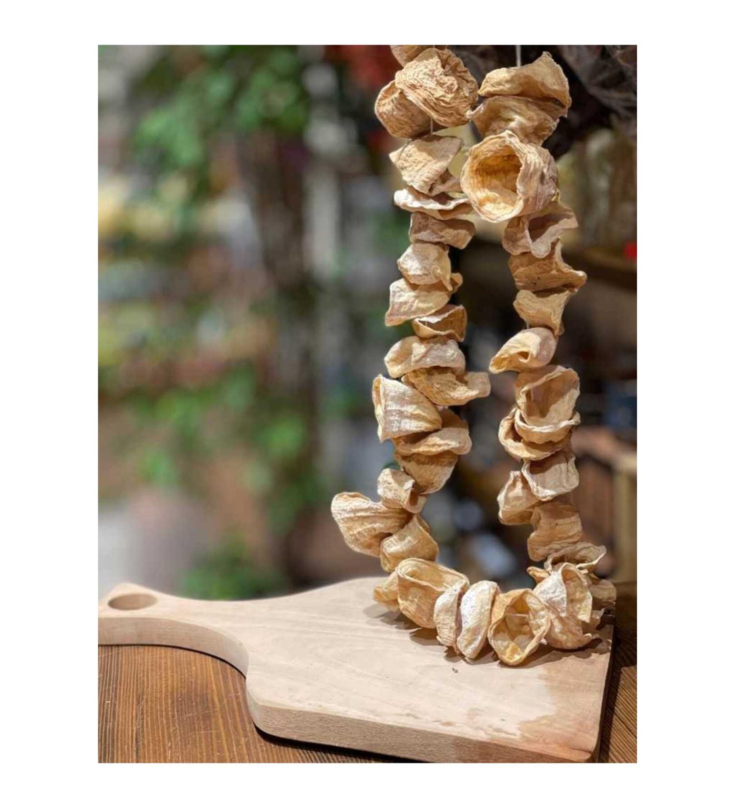 Orop Opti Joint Dog Joint Health 700gr