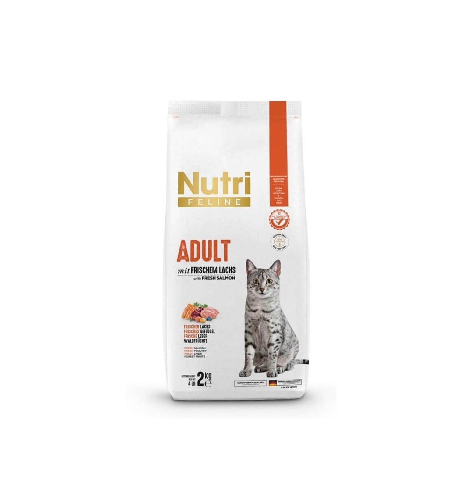 OG natural Organic Plain Orzo 250 gr 7 Months - Buy Online on GoSupps.com