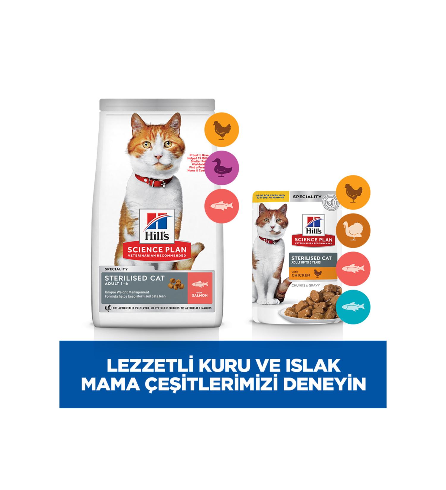 N-Active Lysine Ech Paste (Immune Health) 30 Ml Paste