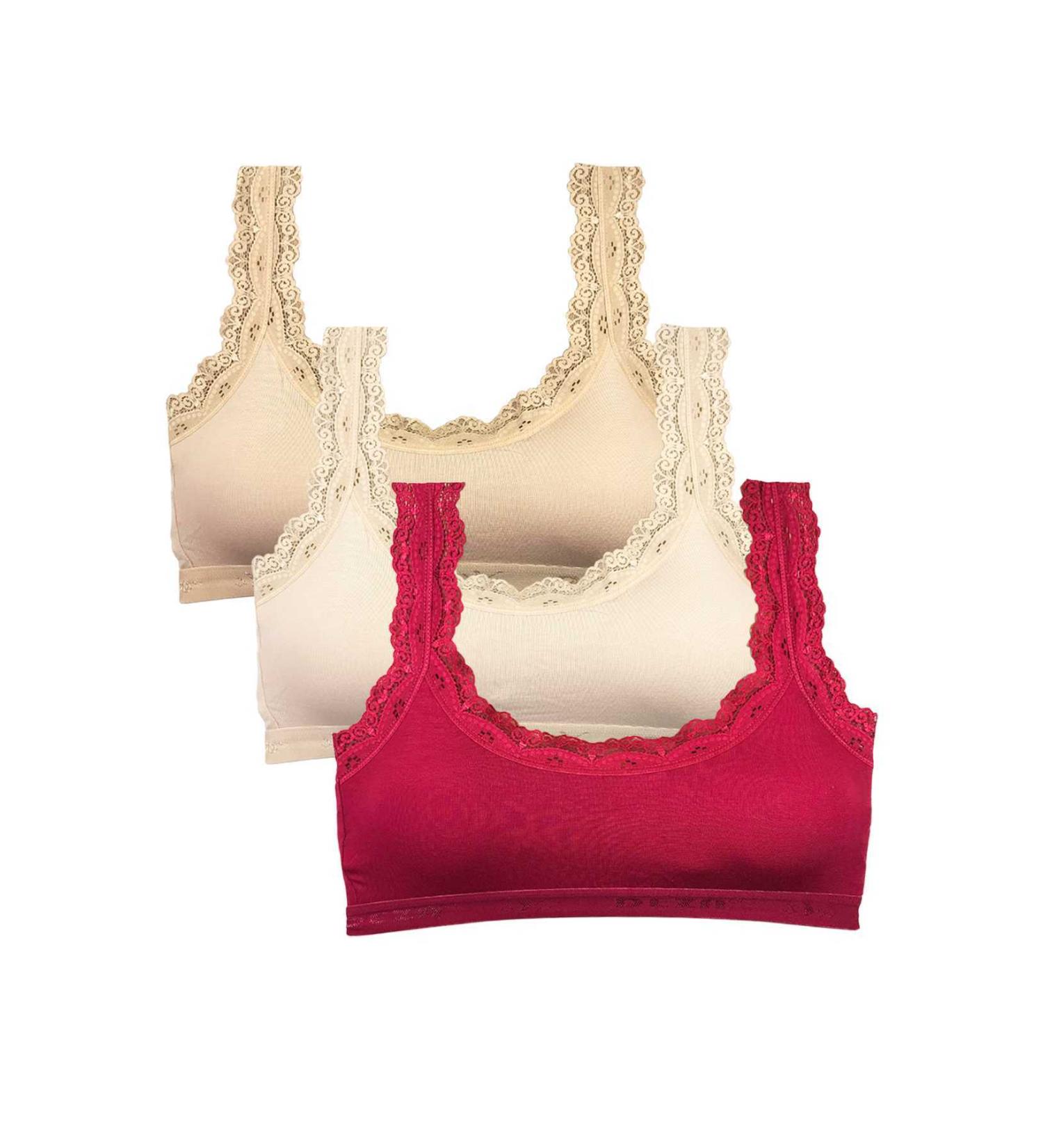 Skygo 3 Piece Lace Embroidered Padded Bamboo Women's Bustier Ten