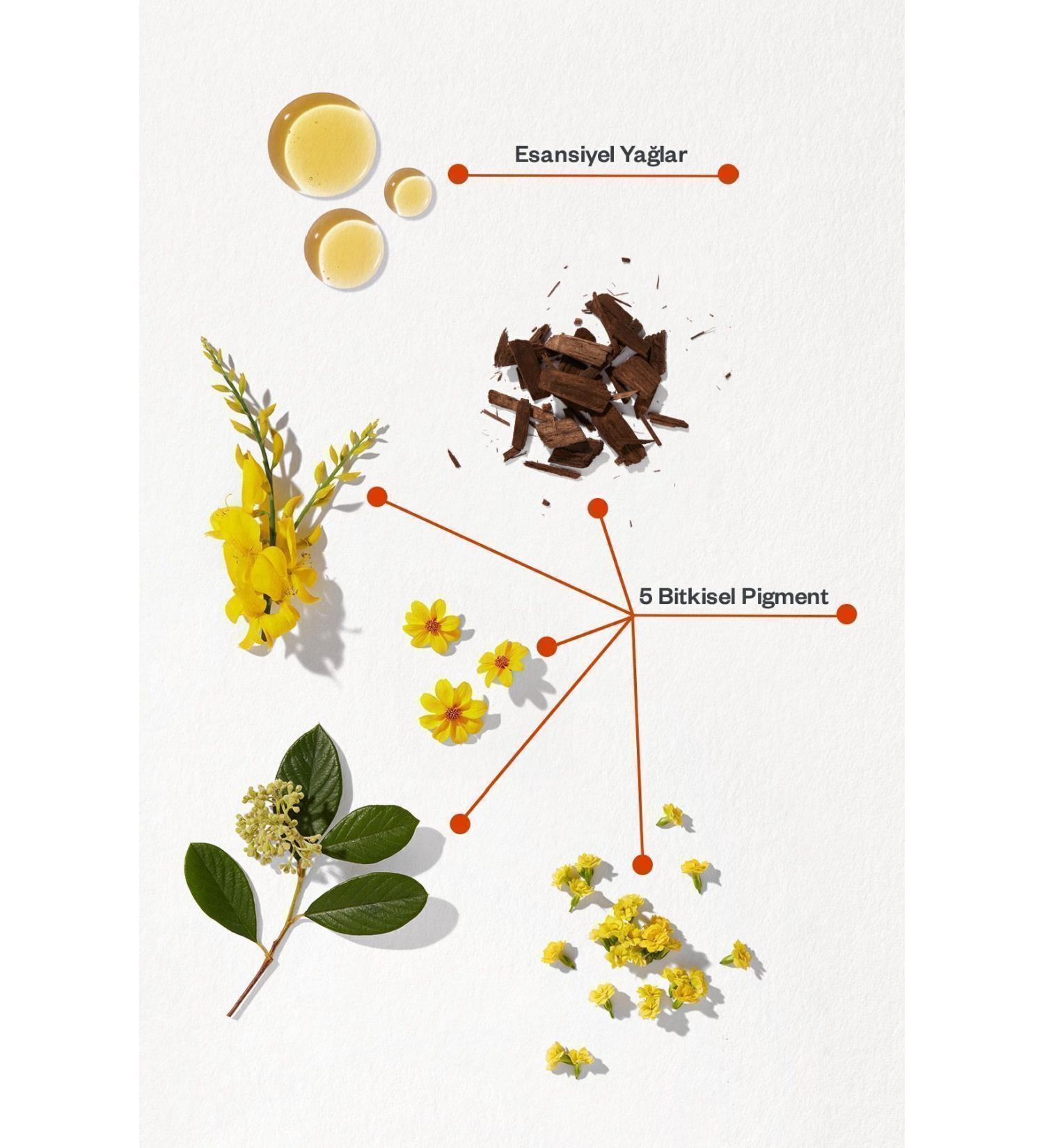 2 Pack Natural Beauty Ammonia Free Hair Dye 1.1 Blue Black