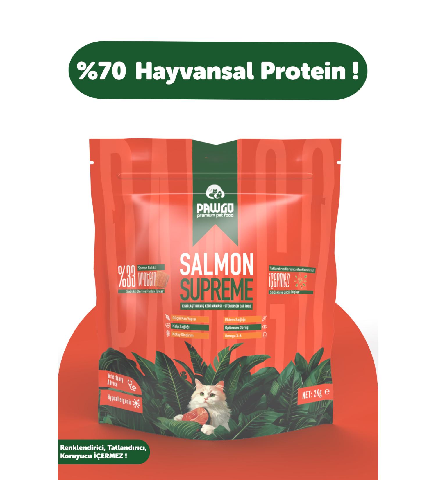 Vitamin Glucosamine Chondroitin Msm 90 Tablets in Water (Glucosamine Chondroitin MSM) - Buy Online on GoSupps.com