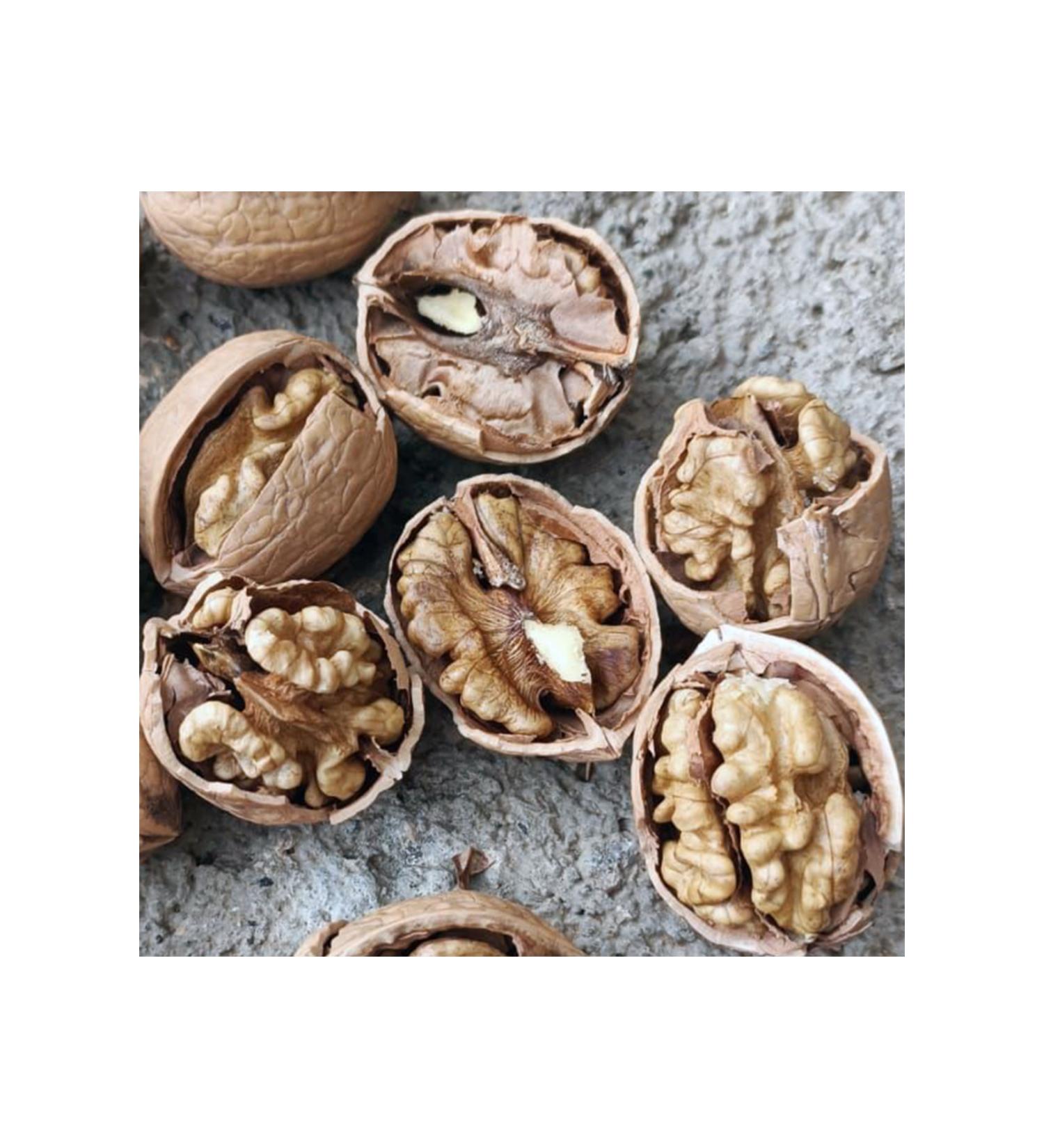 Chefs Choice Grain-Free Lamb Meat Paste Canned Cat Food 400 Gr (12 Pieces)