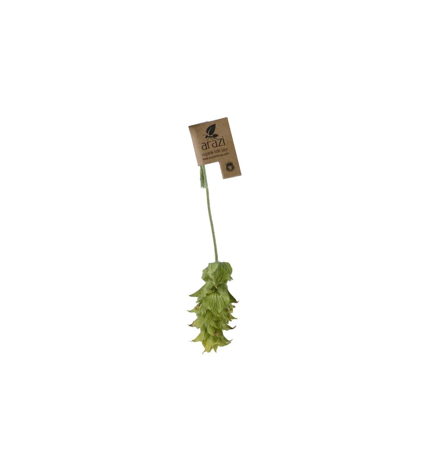 Land Organic Herbal Tea Organic Sage Tea 20 Branches Herbal Tea 15 Gr - Buy Online on GoSupps.com