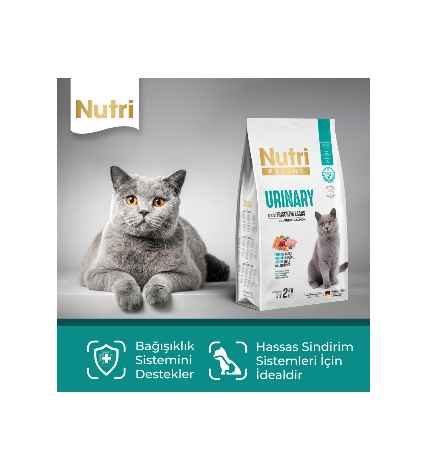 Organic Gluten-Free Black Pepper Powder 100 Gr x2