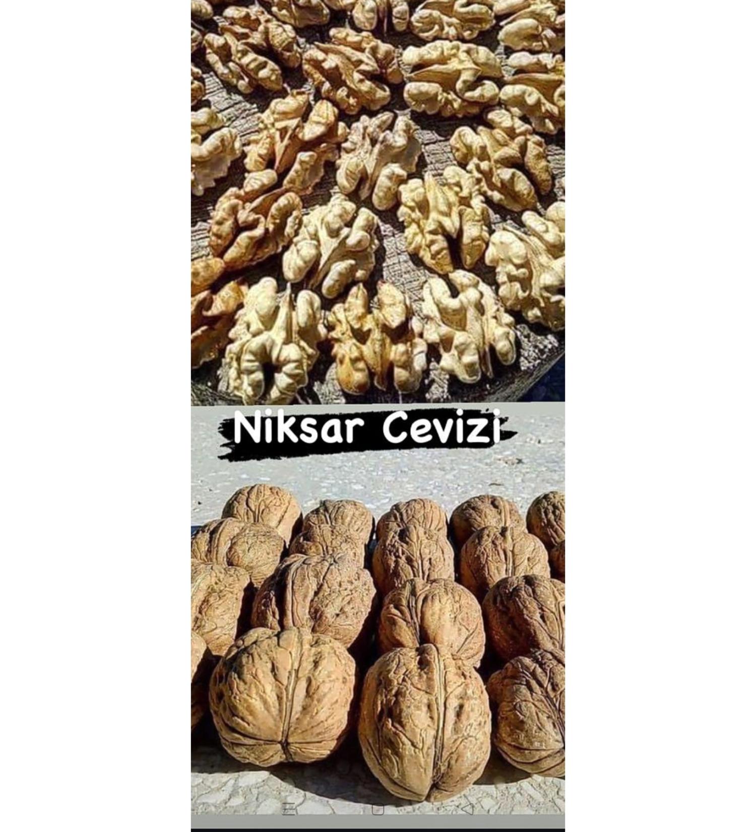 Bioline Cat and Dog Foam Shampoo 220 Gr