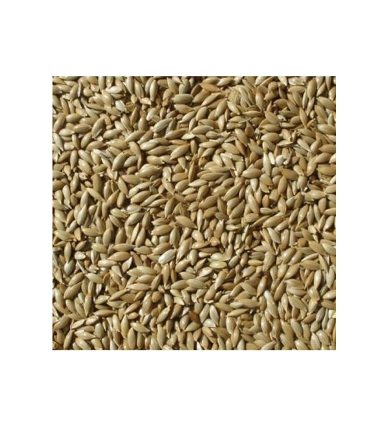 Dennerle Crusta Brennnessel Stixx Shrimp Food 30 Gr