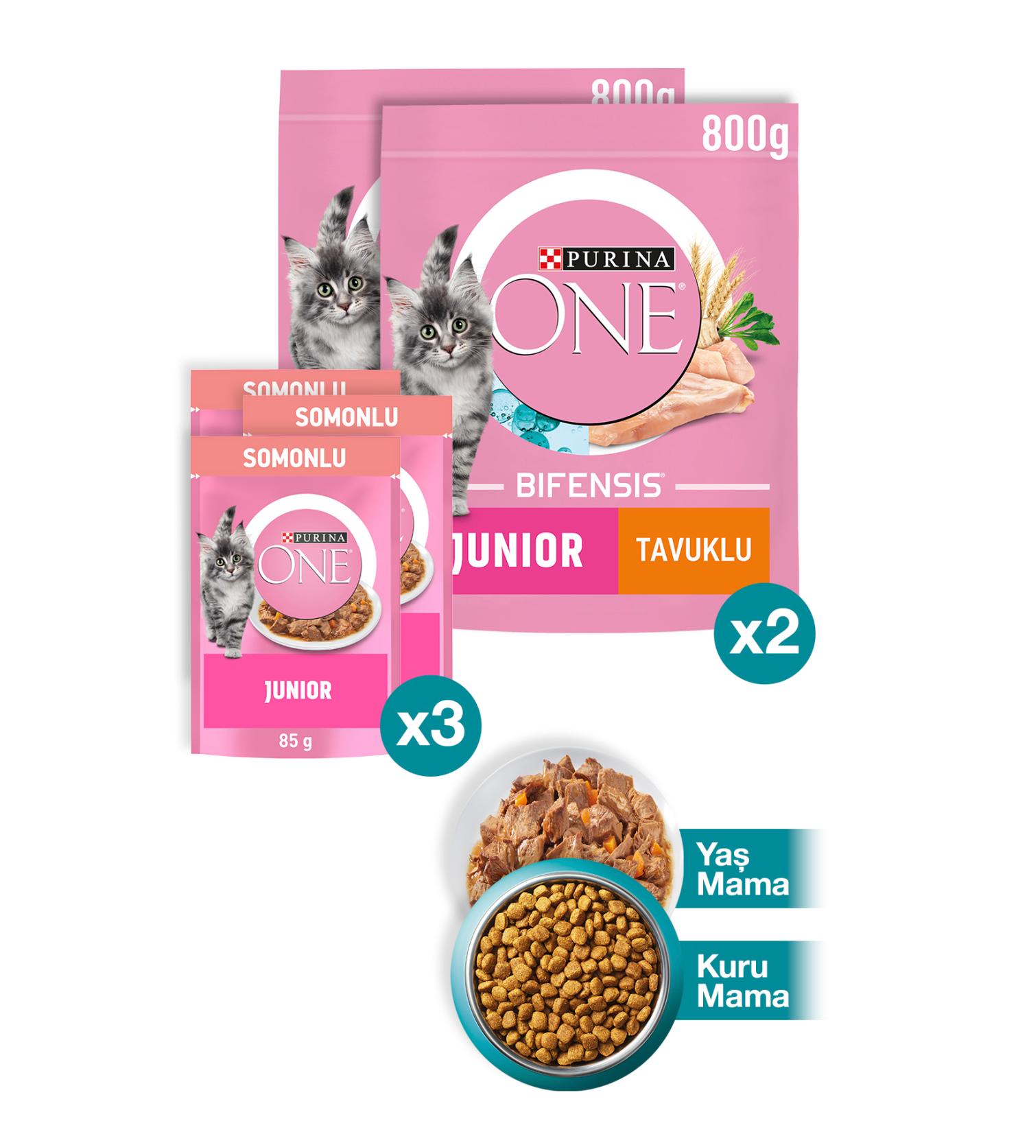 Purina One Junior Chicken Kitten Cat Food 800gr X2 Pieces Junior Salmon Wet Kitten Cat Food 3x85g