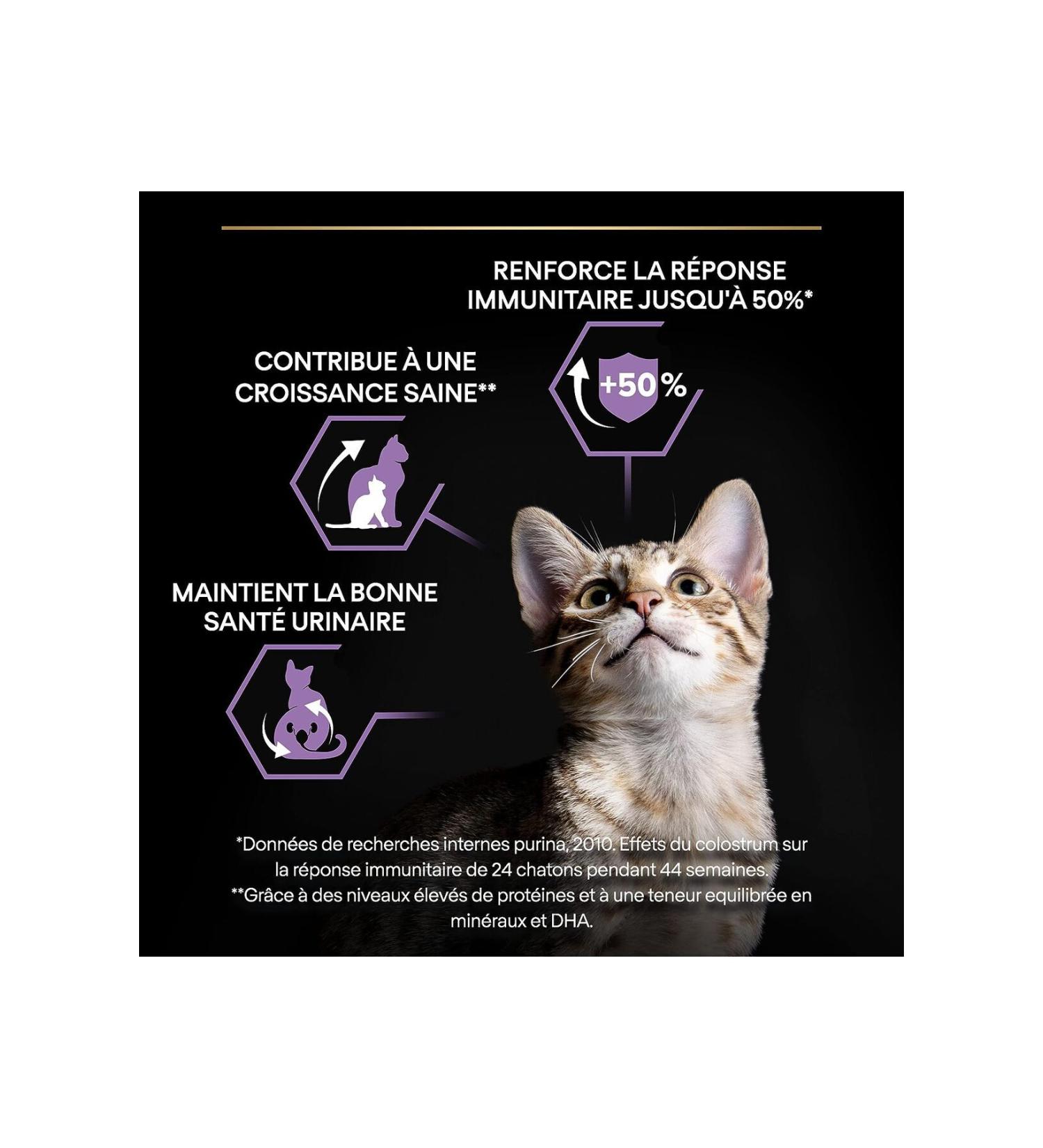 Haribo Tooth 1 Kg. Jelly Beans - Buy Online on GoSupps.com