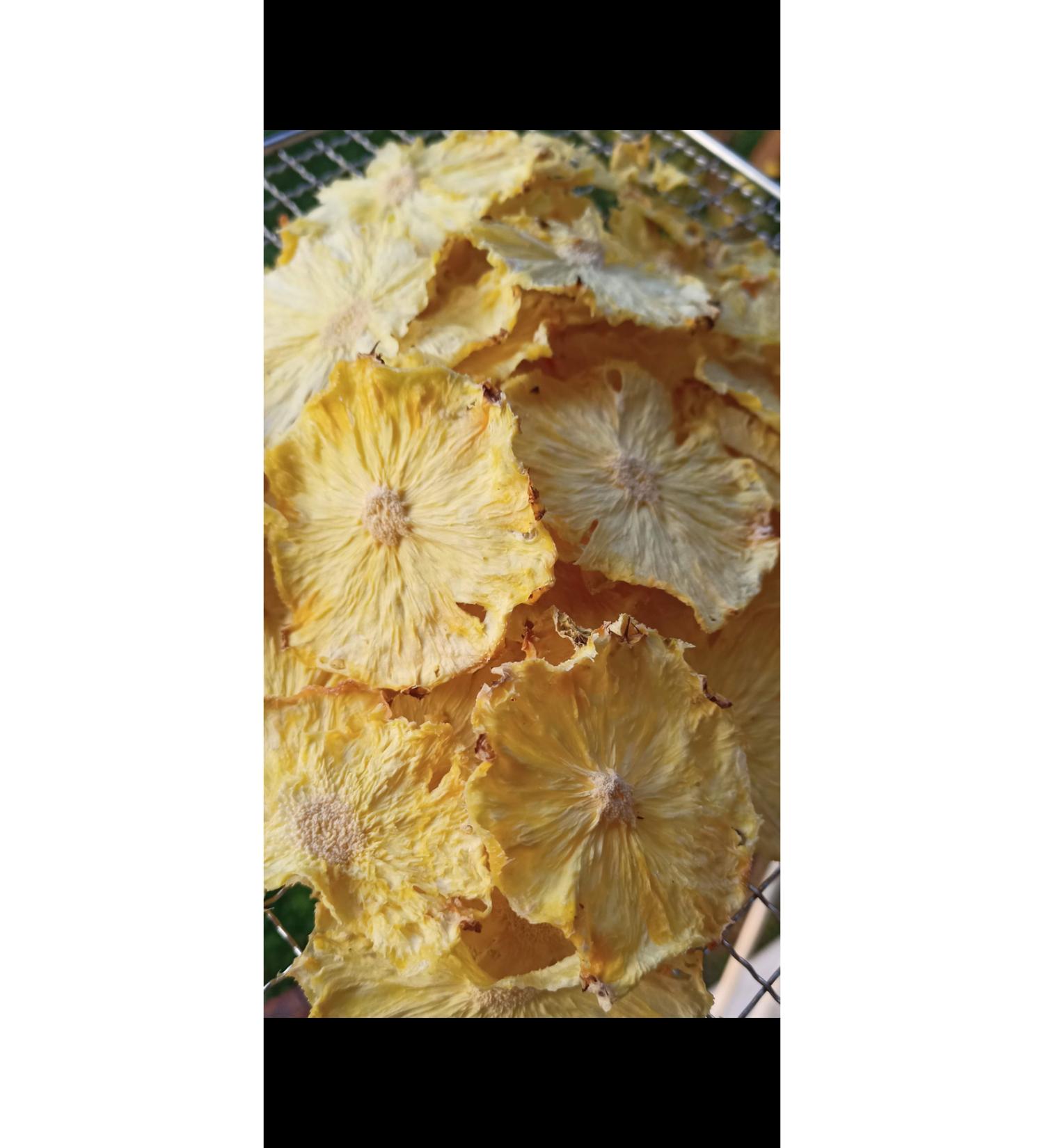 Purina One Neutered Cat Salmon 800g