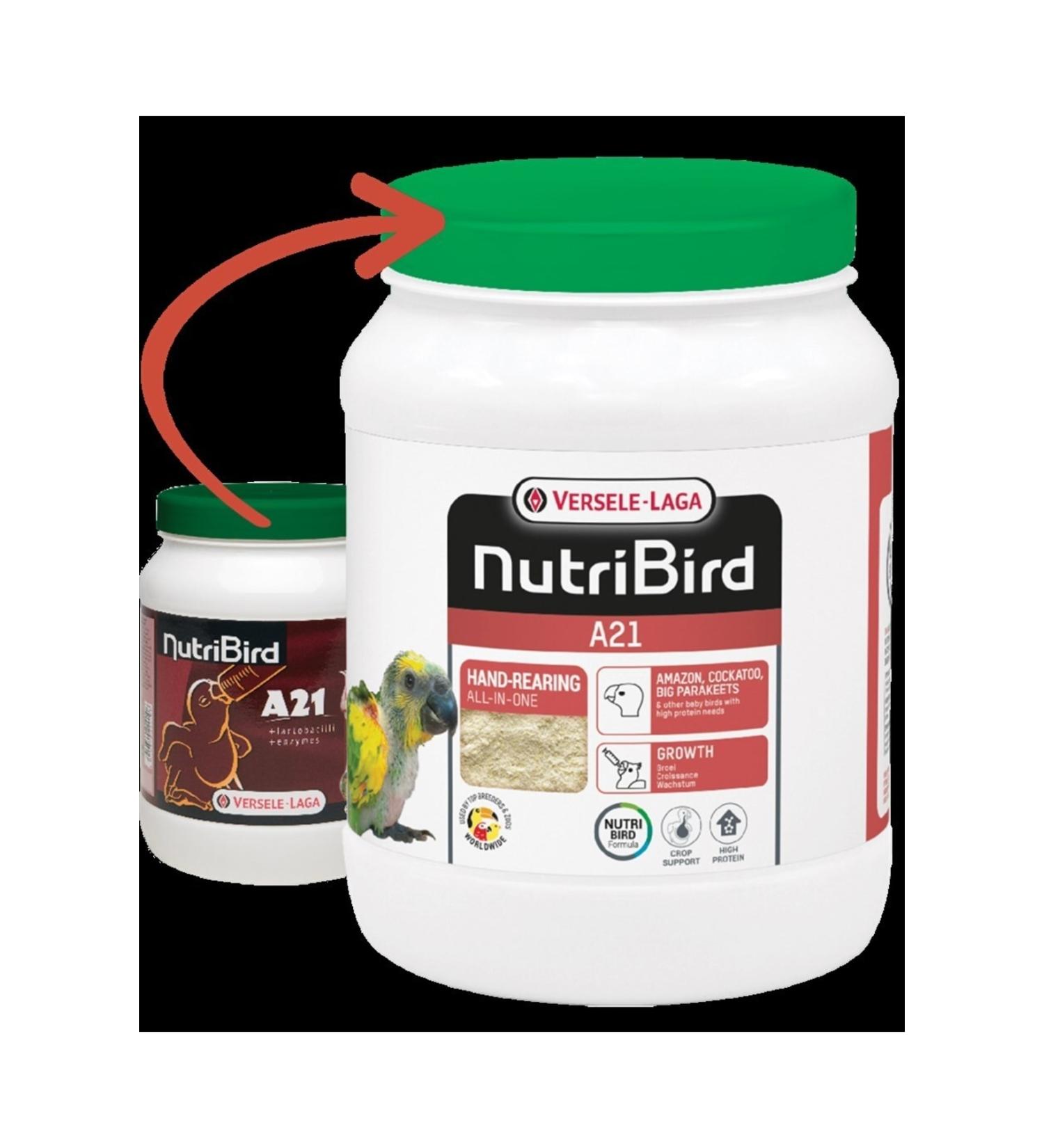 Mia Barbell Bone Plastic Large Spiky