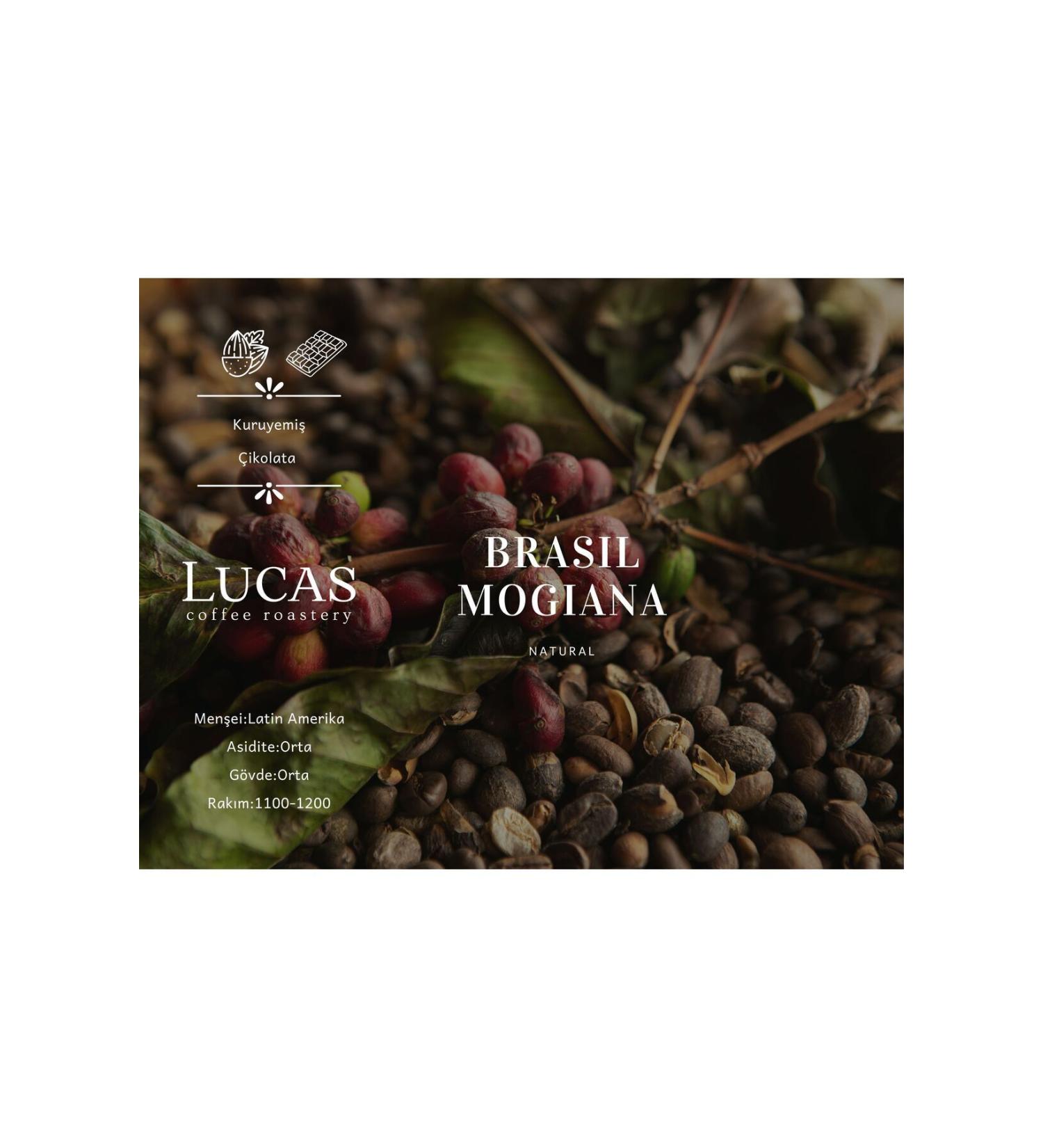 Lotus Discus 1000 Ml Box Fish Food