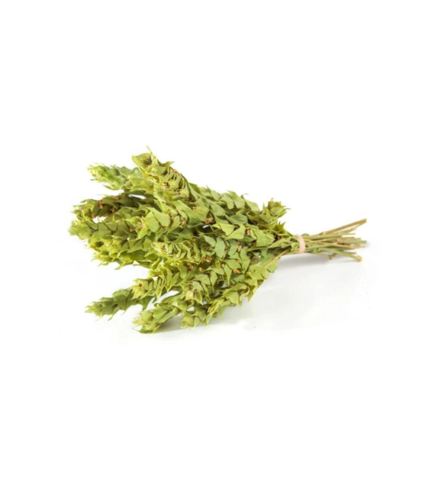 Herby Ice Tea Cool Lime Iced Tea No Sugar Added 250 ml x 12 - Buy Online on GoSupps.com