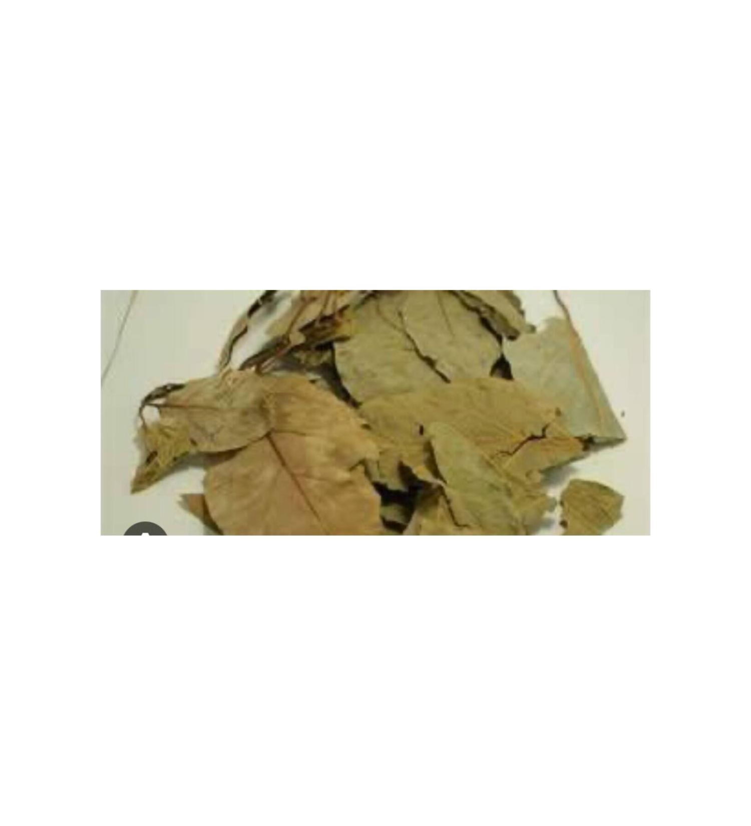 Animonda Senior Lamm Lamb Meat Old Cat Canned Food 100 Gr X 6 Pieces