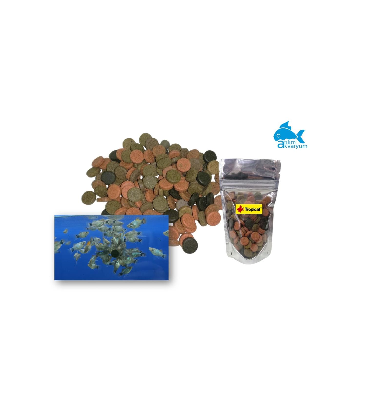 At l m Aquarium Glass Sticking Tablet Food Mix for All Aquarium Fish 50 Pieces - Buy Online on GoSupps.com