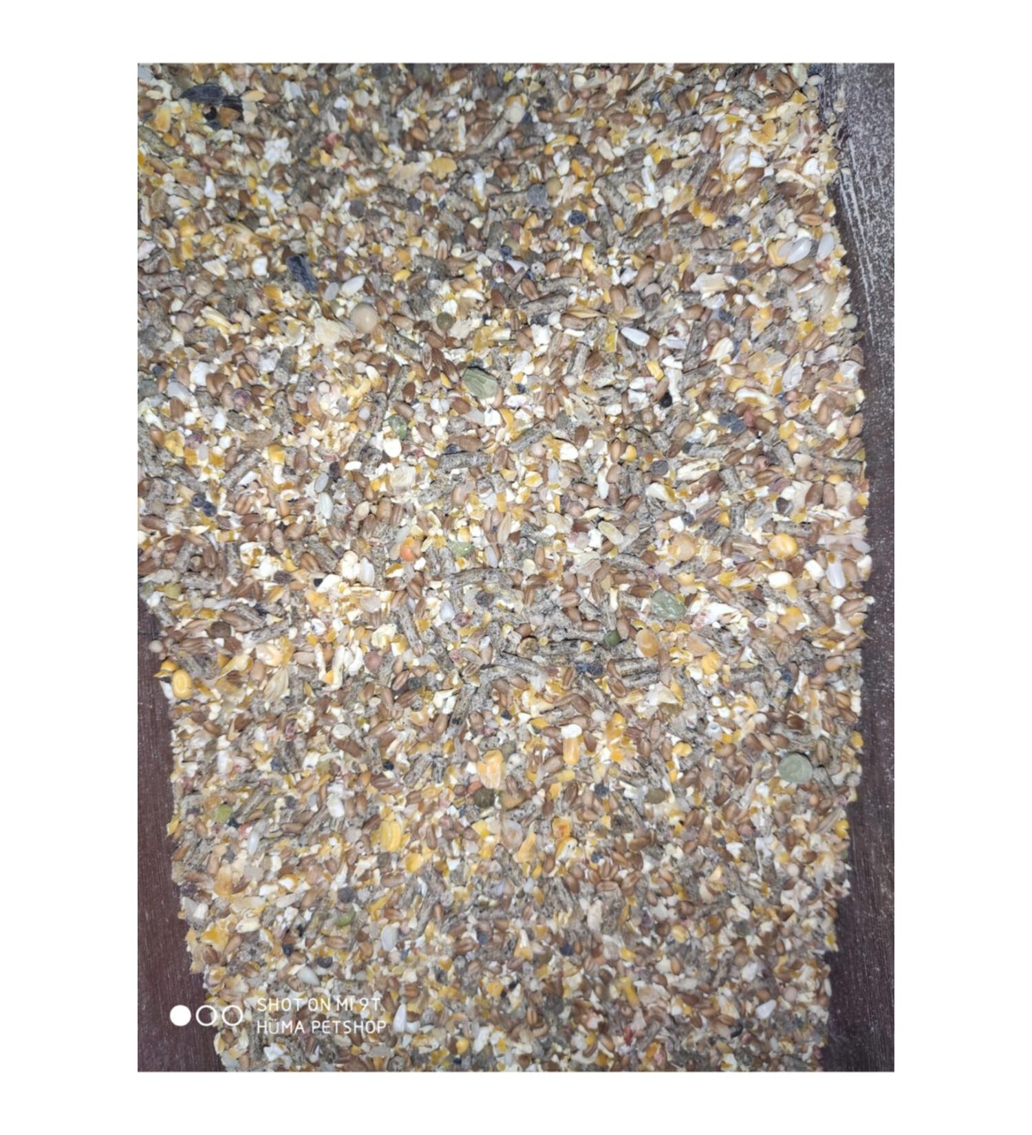 Bio PetActive Bio Dermadog 0.5 Brewer's Yeast 150 Tablets