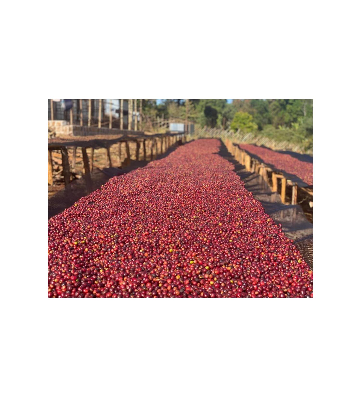 aykur Alt nba Teapot Tea Bag 5 gr 200 pcs 6 Packs