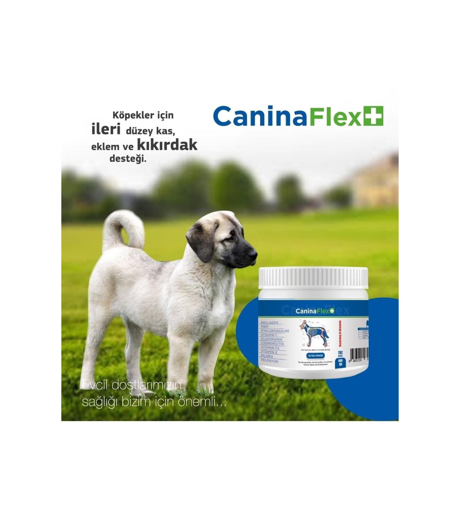 aykur Leaf Green Tea (plain) 150 Gr 5-pack