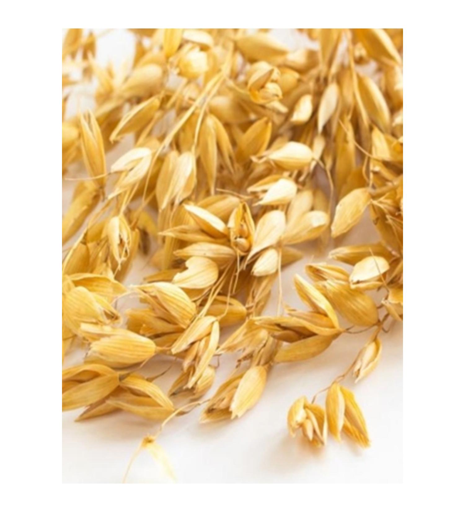 aykur Organic Emerald Green Tea 125 Gr (1 PIECE)