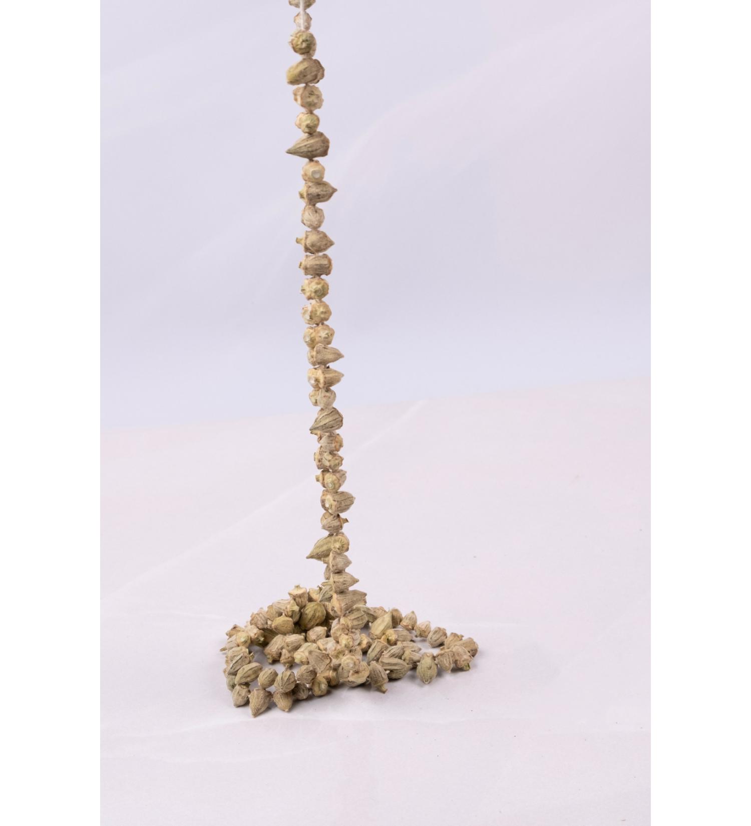 Chickpea Market Dried Okra - 1 Bunch