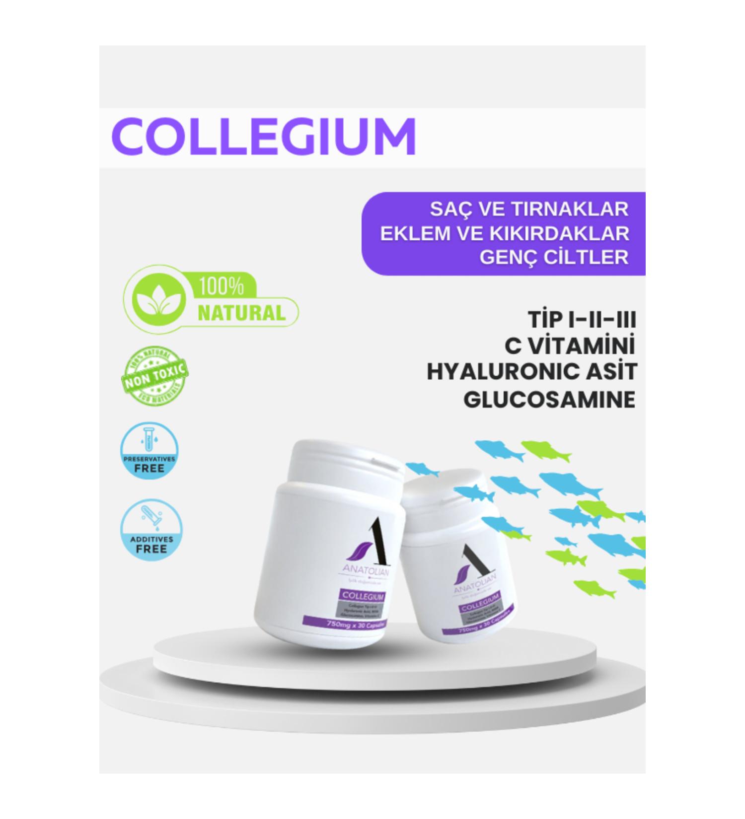 COLLEGIUM Collagen Capsule & Type 1-2-3 & Fish-Chicken-Cattle & Muscle-Bone-Joint Development & Youth Elixir - Buy Online on GoSupps.com
