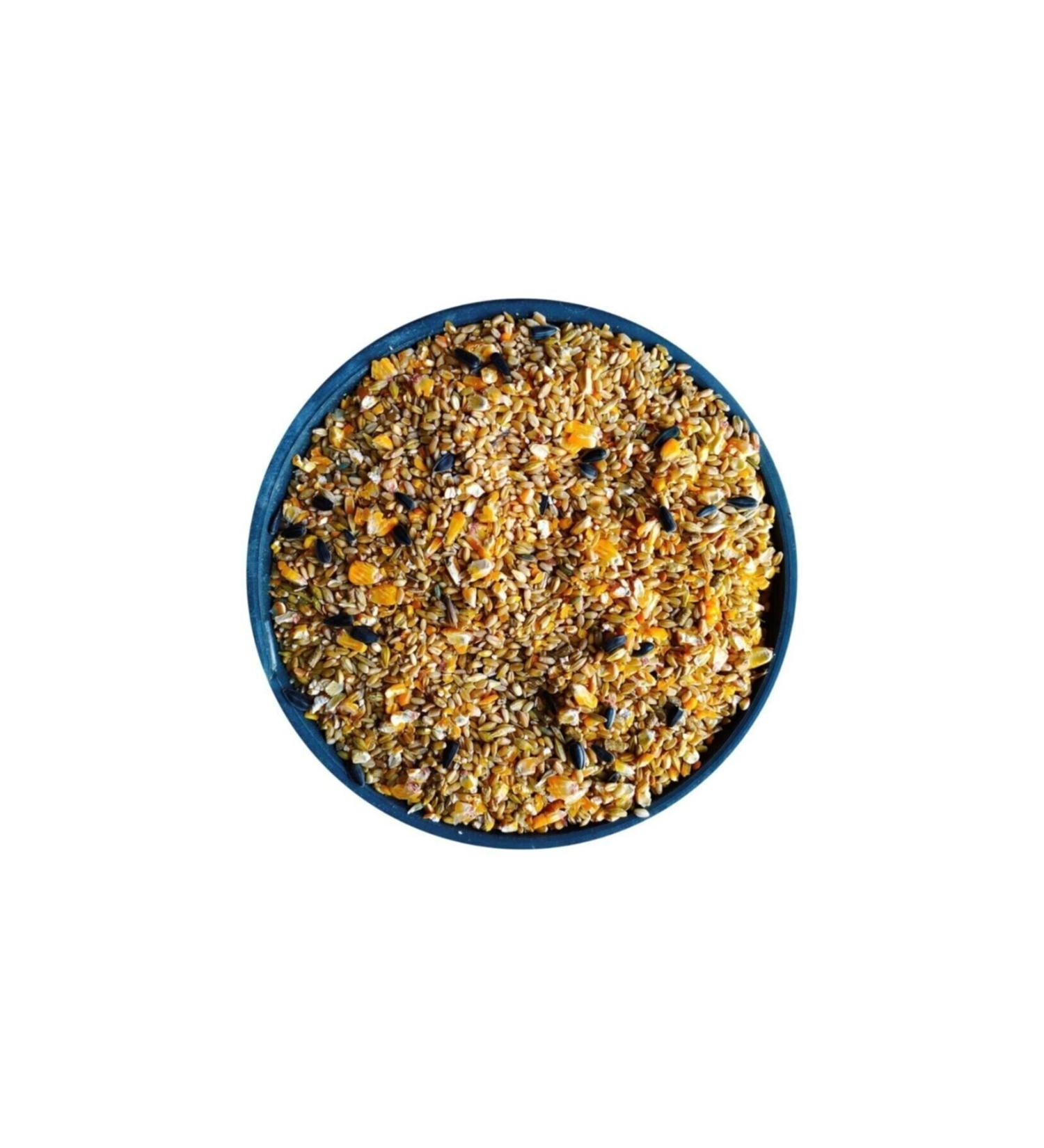 DOGANs Mardin Pumpkin Seeds 0.5 KG