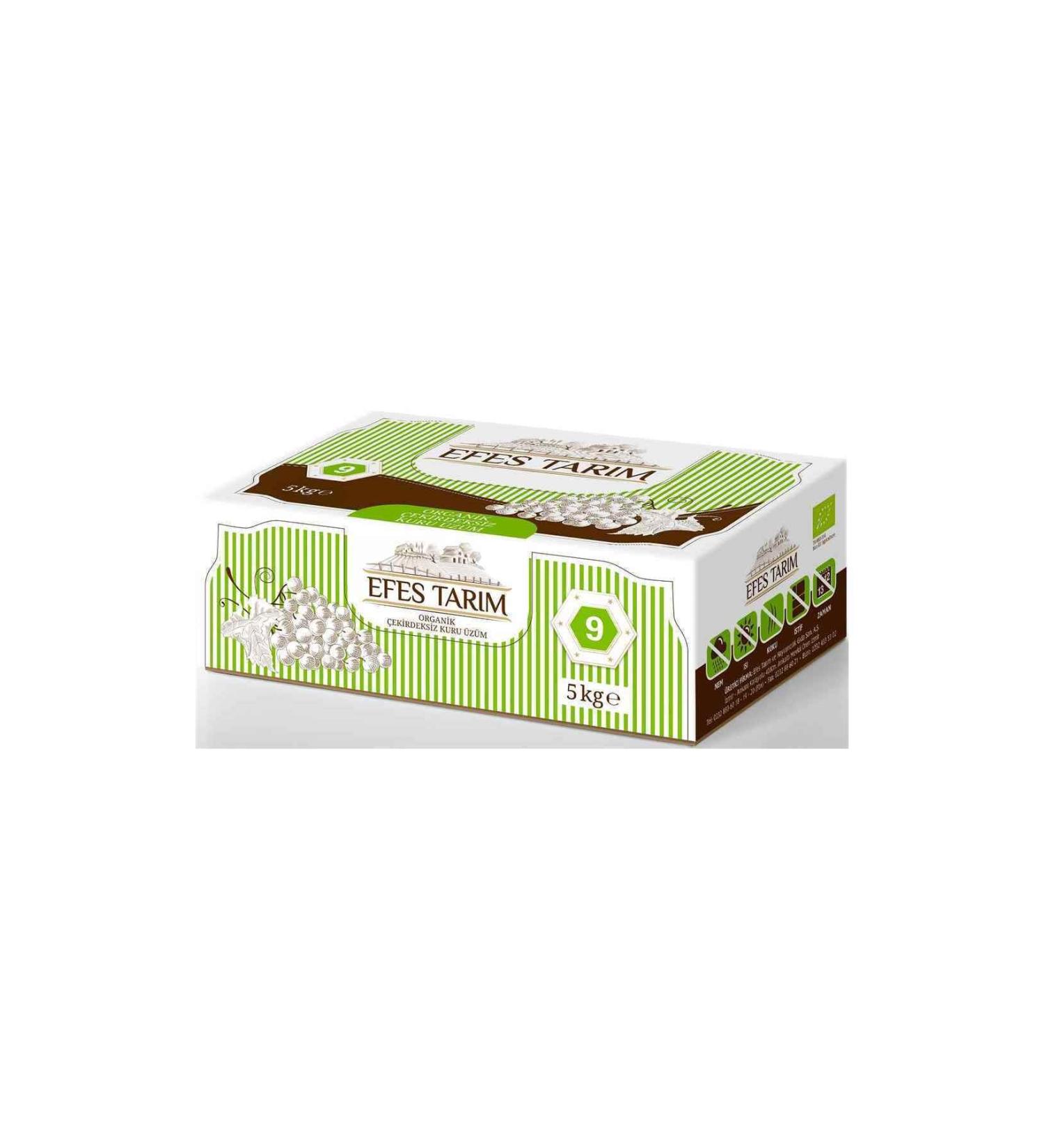 Elvan Today Maxi Coconut Wafer 38 Gr. 24 Pieces (1 Box)