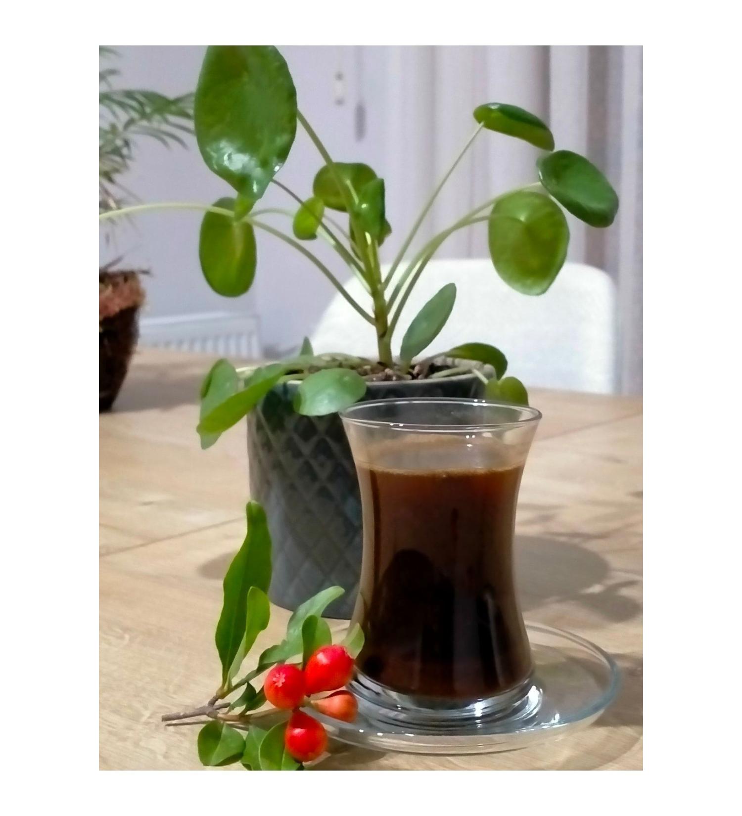 Energia Vitamin C and Calcium + Multivitamin + Magnesium Effervescent Tablet Food Supplement