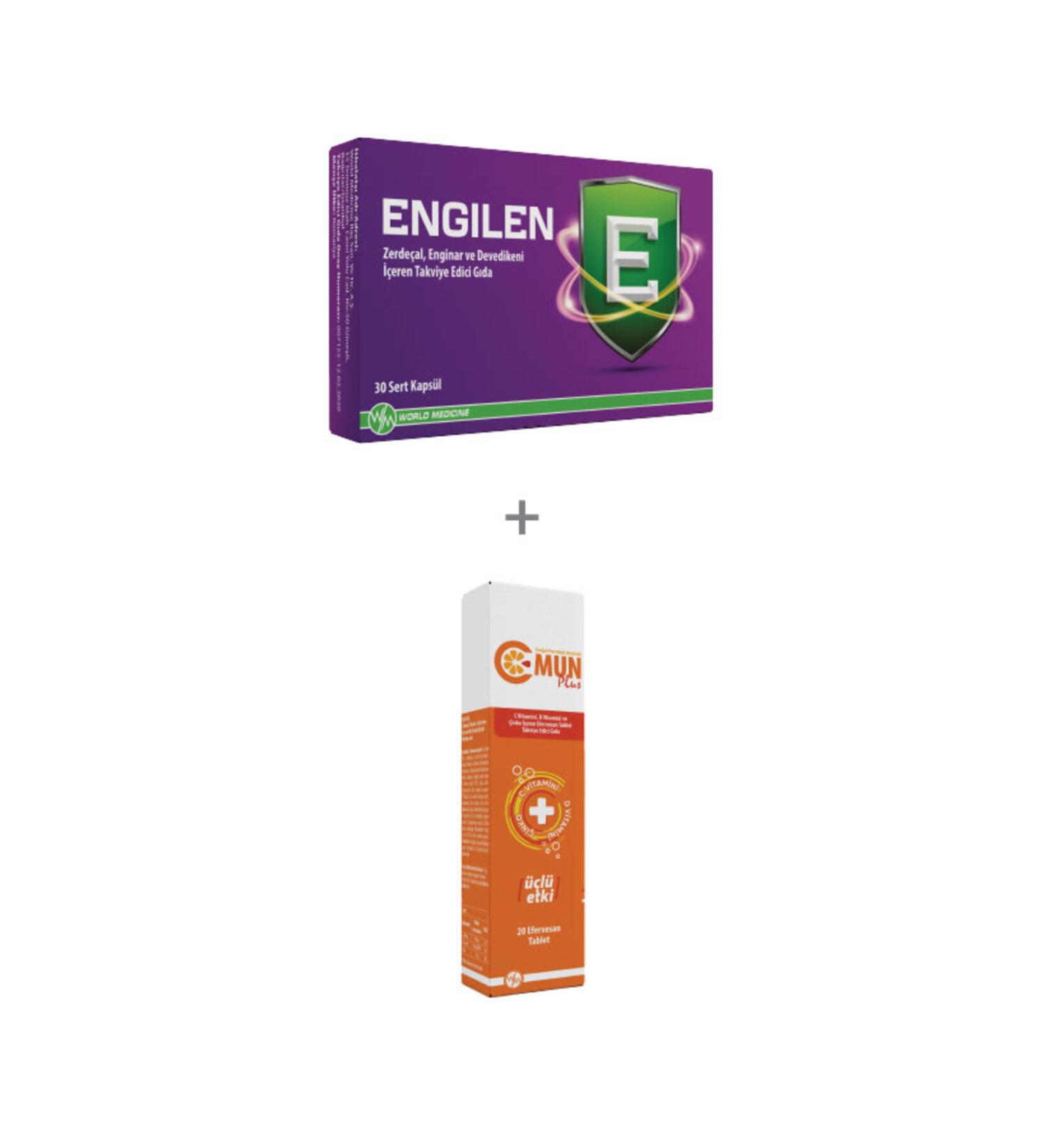 Ekozel Natural Sunflower Kernels - 500 G