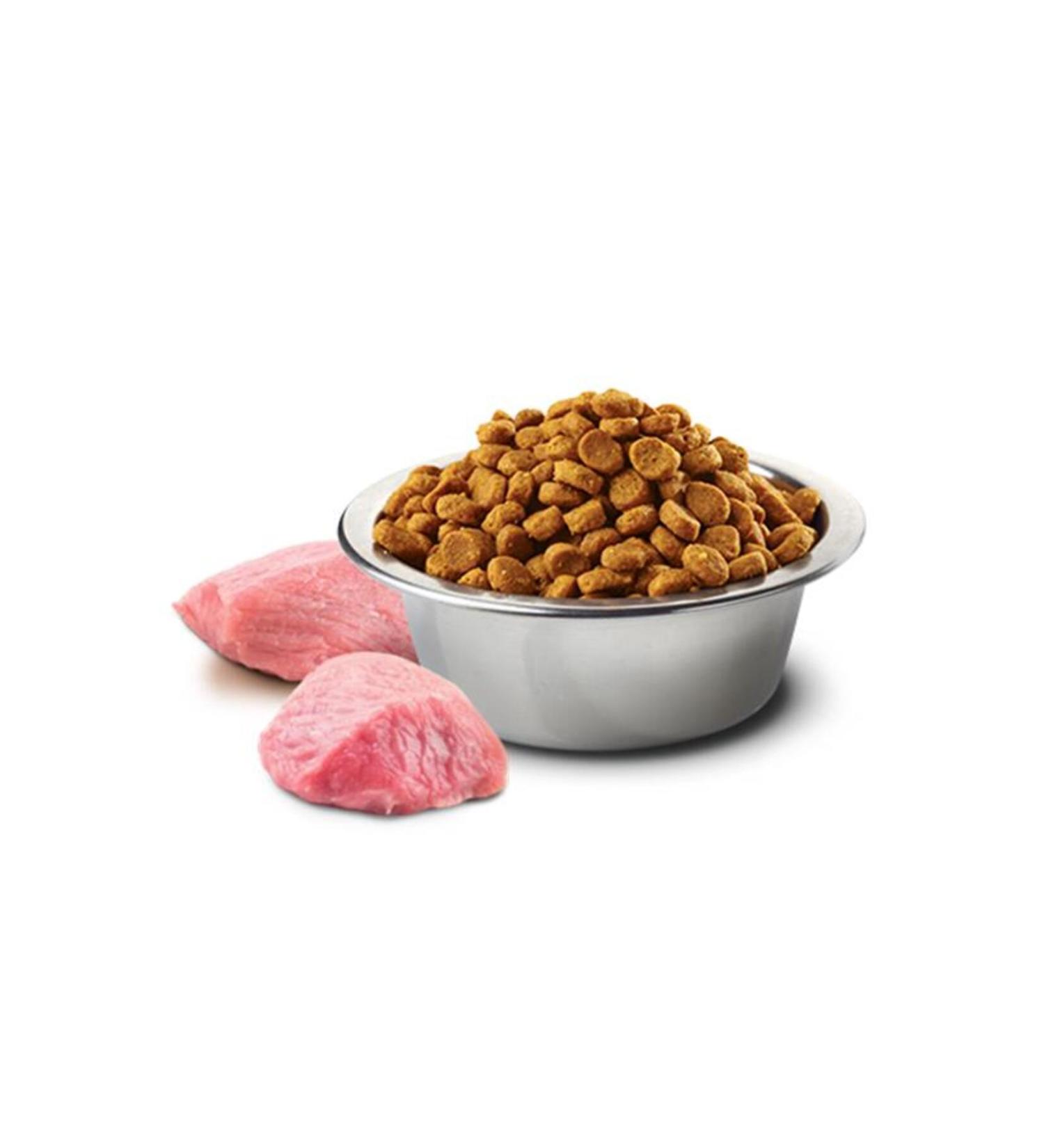 Felicia Lamb Meat Large Breed Puppy Food - 3 Kg 205078