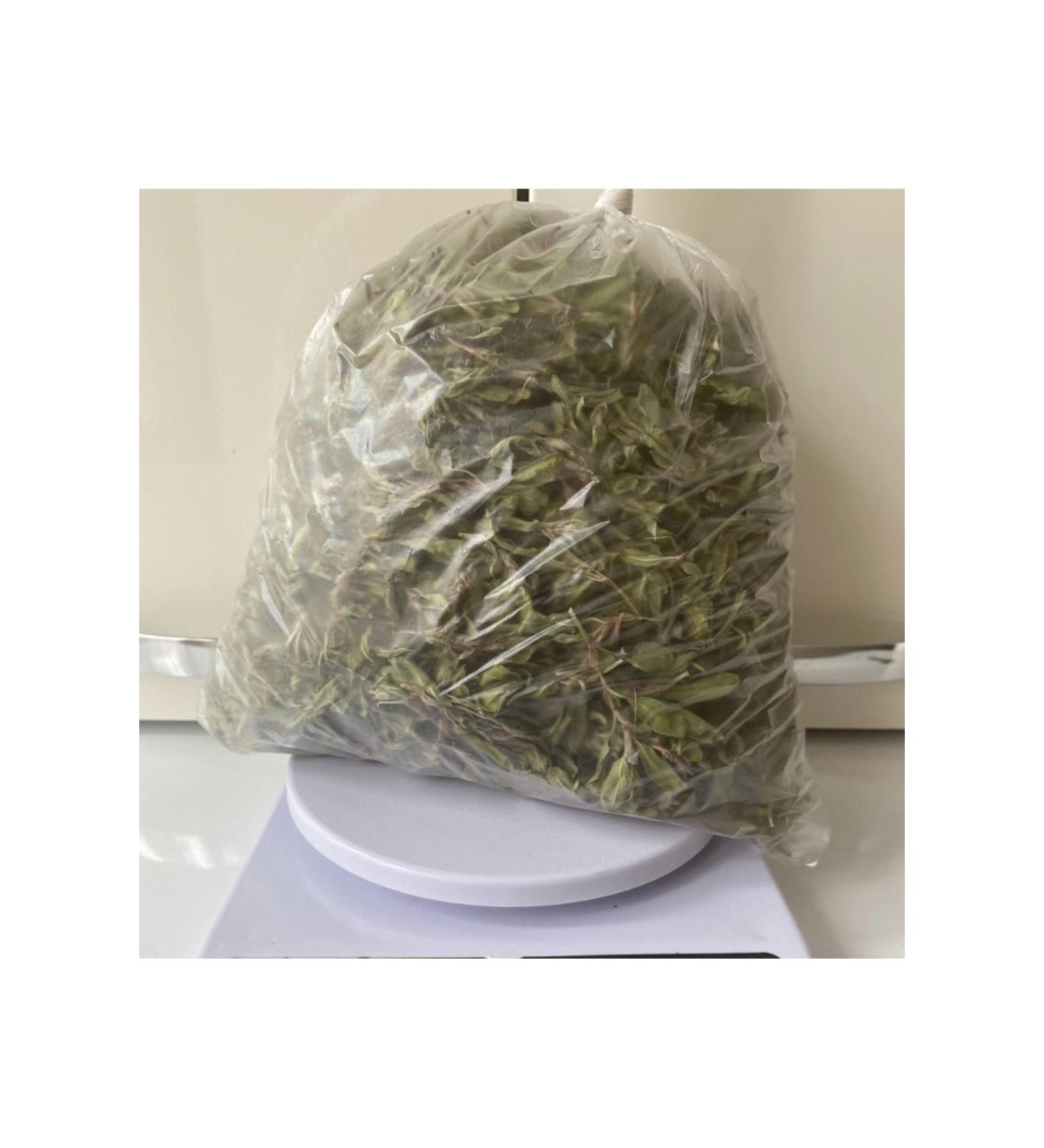 Felicia Low Grain Hypoallergenic Chicken Mother and Kitten Food 12 Kg