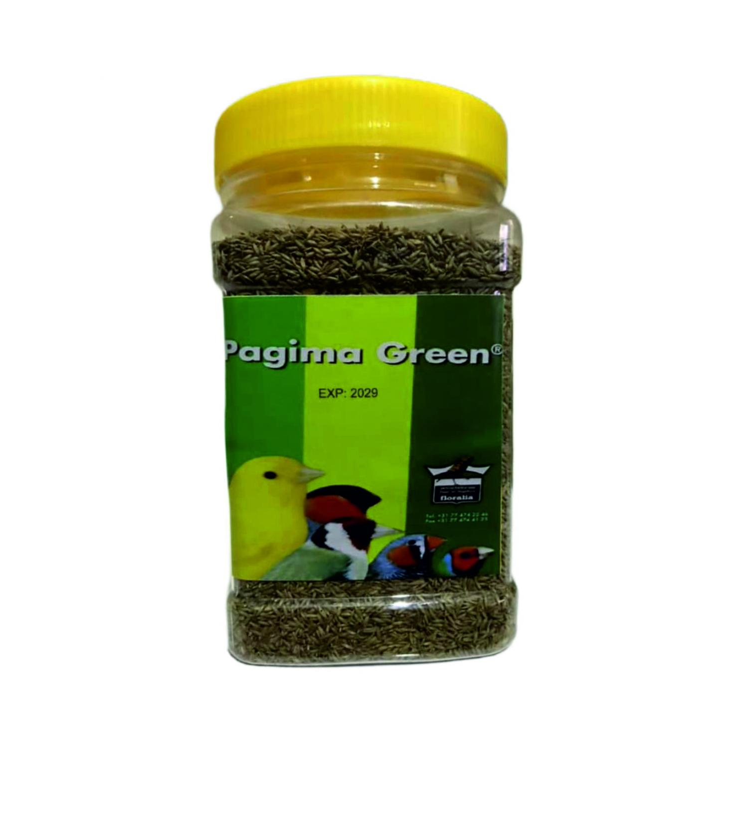 FLORALIA Foniopaddy Seed 1Kg Closed Package