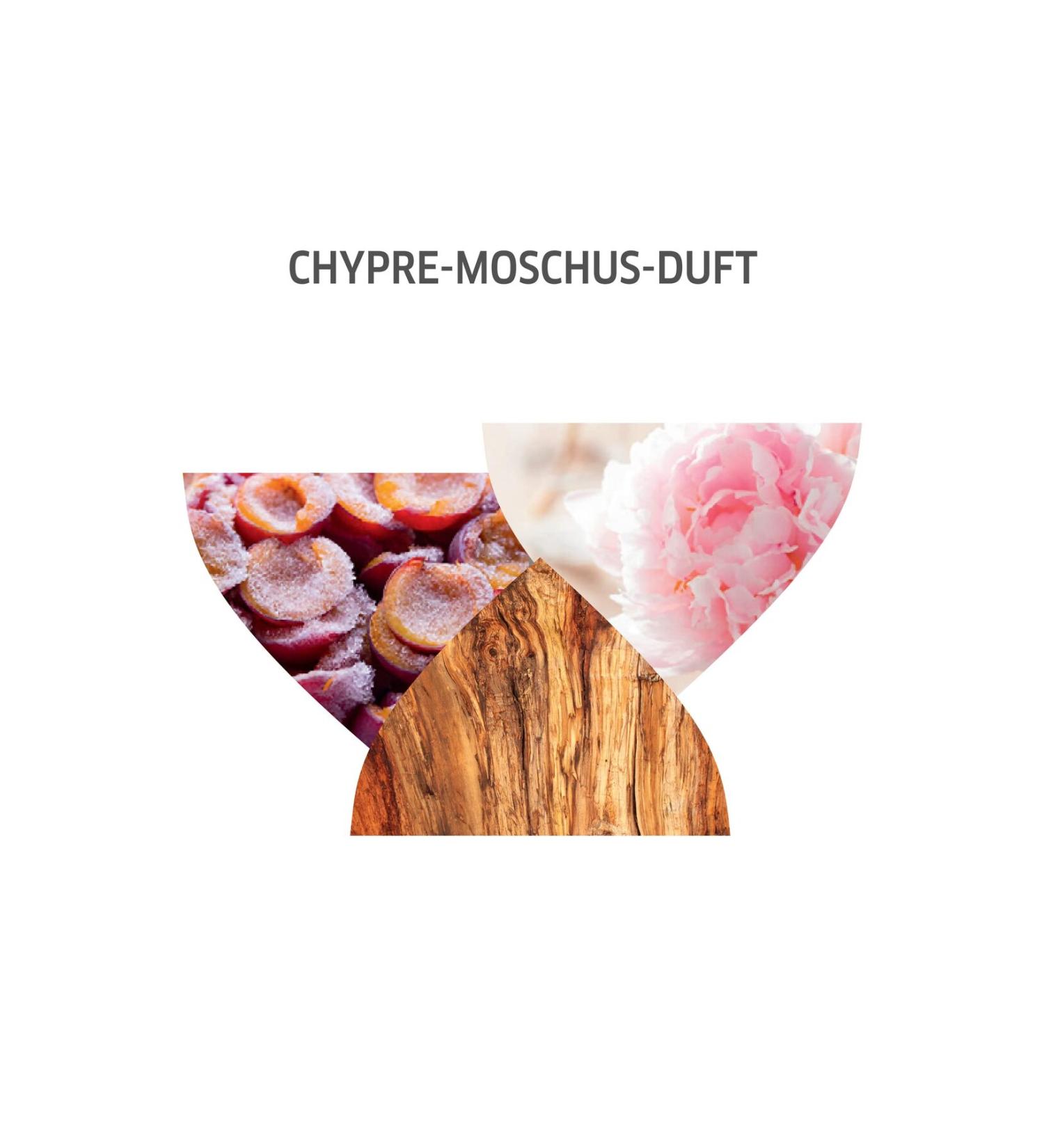 Wella Koleston Supreme Hair Dye 8/74 Mystery Brown - Buy Online on GoSupps.com