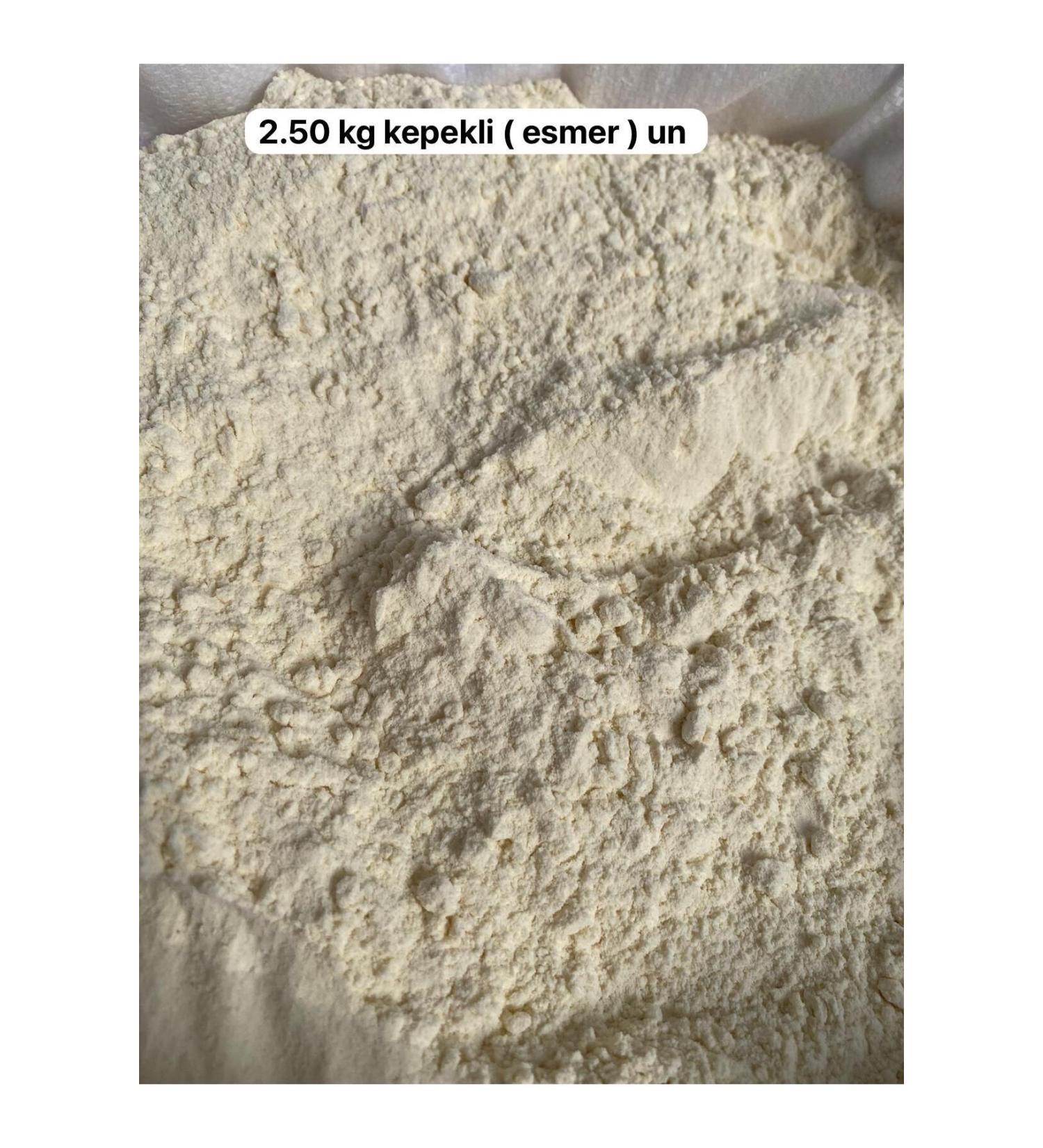 grocer Hasan Cat Grass Leaf 50 gr - Grocer Hasan