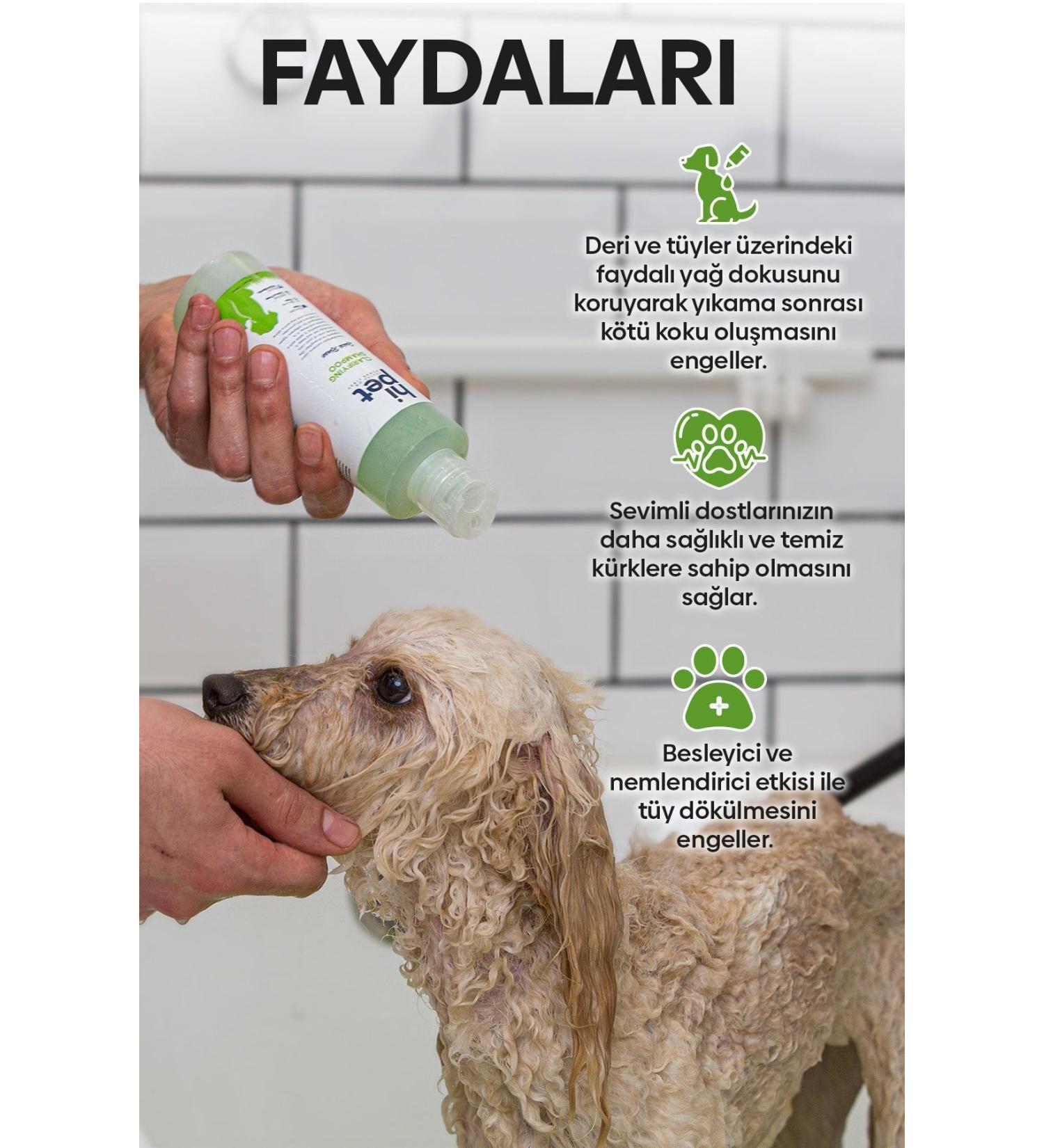 Imutor Beta Glucan 100 Mg 30 Capsules