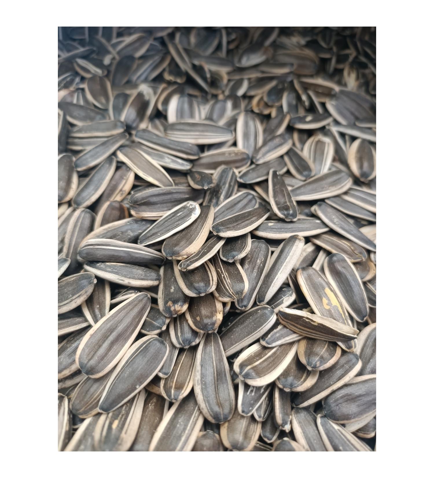 pek pek Village Tomato Paste 1.650 G Pet 32